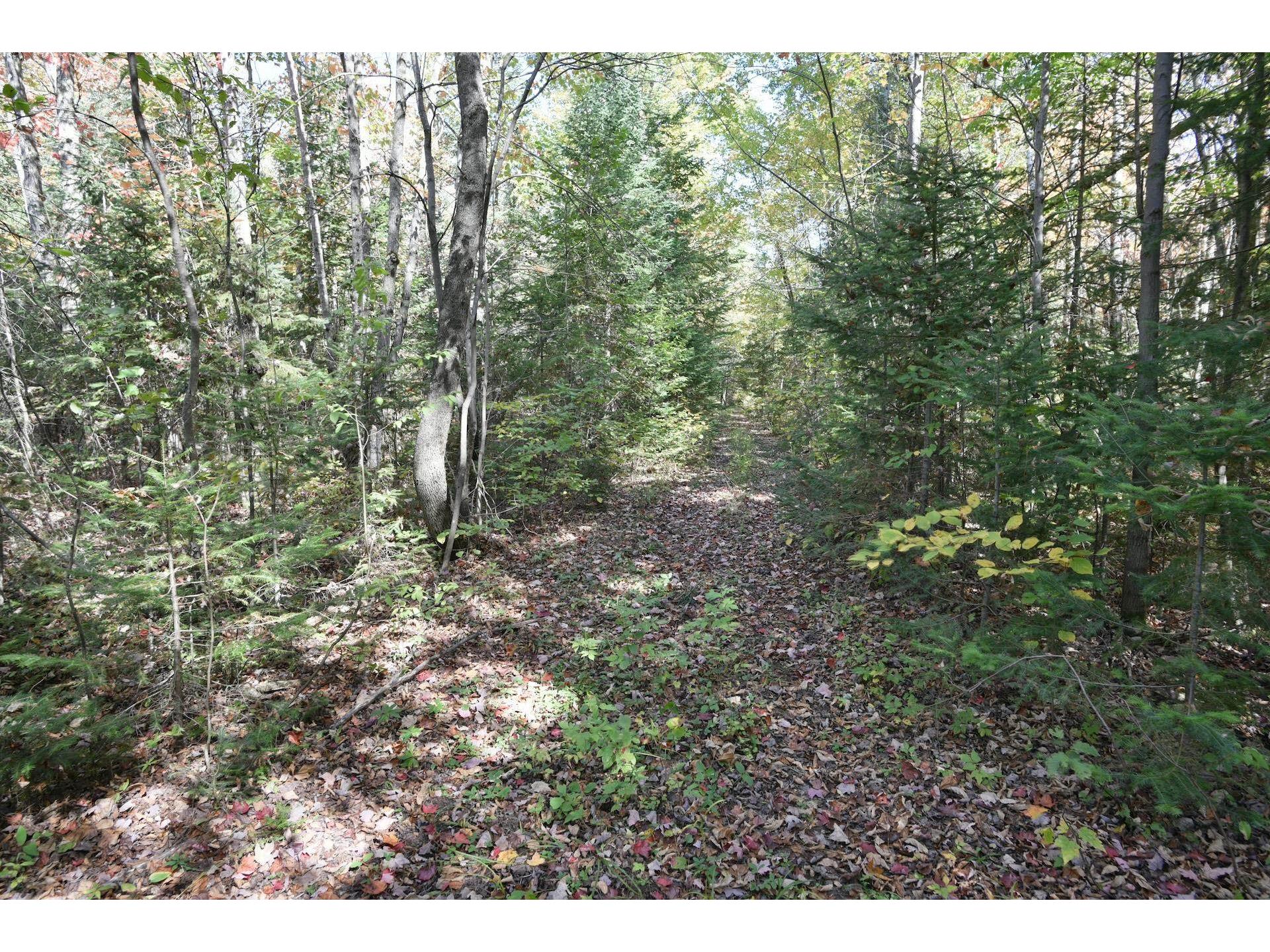 77942 County Line Rd Mellen WI 54546 - Devils 6122150 image29