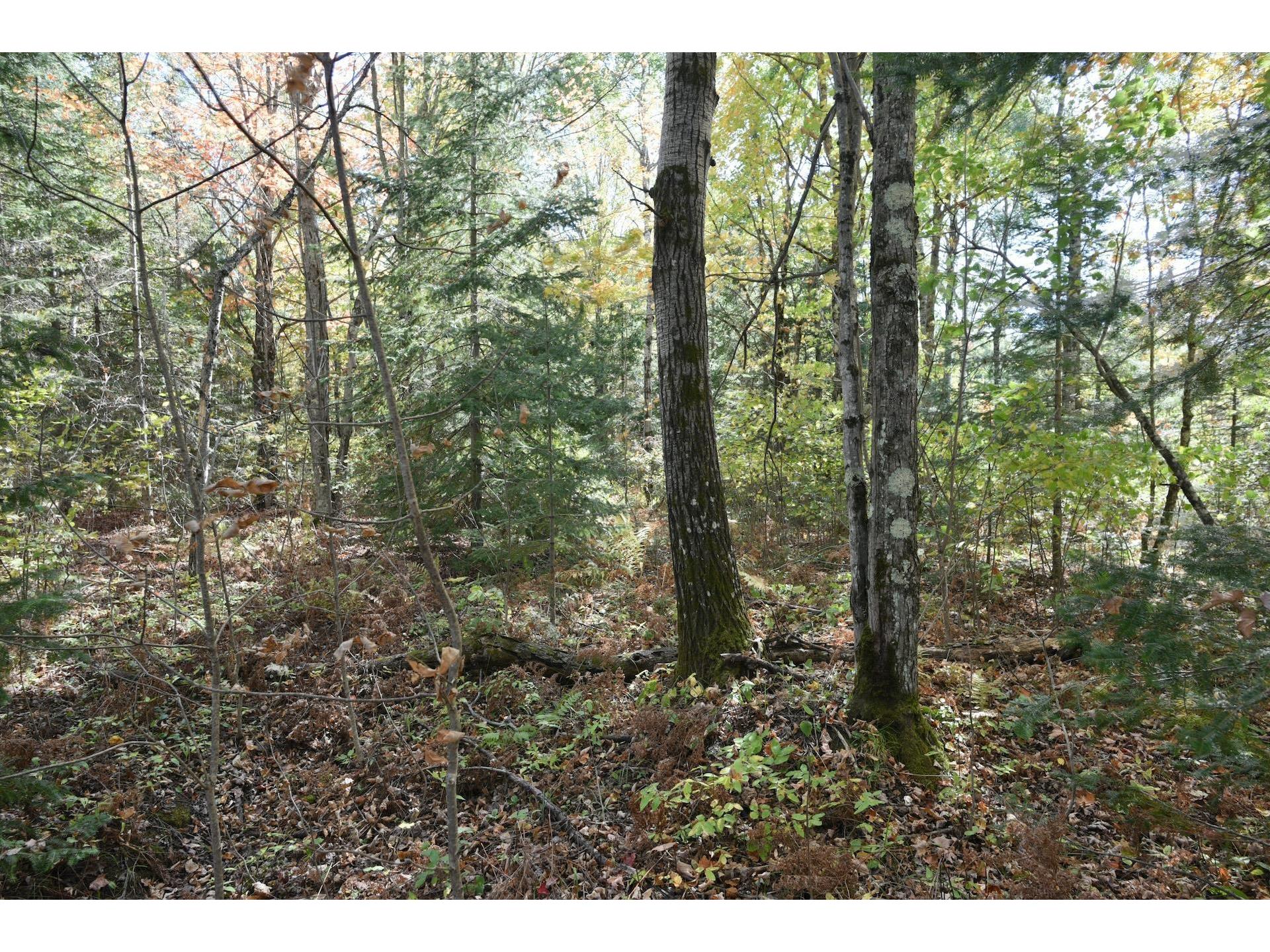 77942 County Line Rd Mellen WI 54546 - Devils 6122150 image31