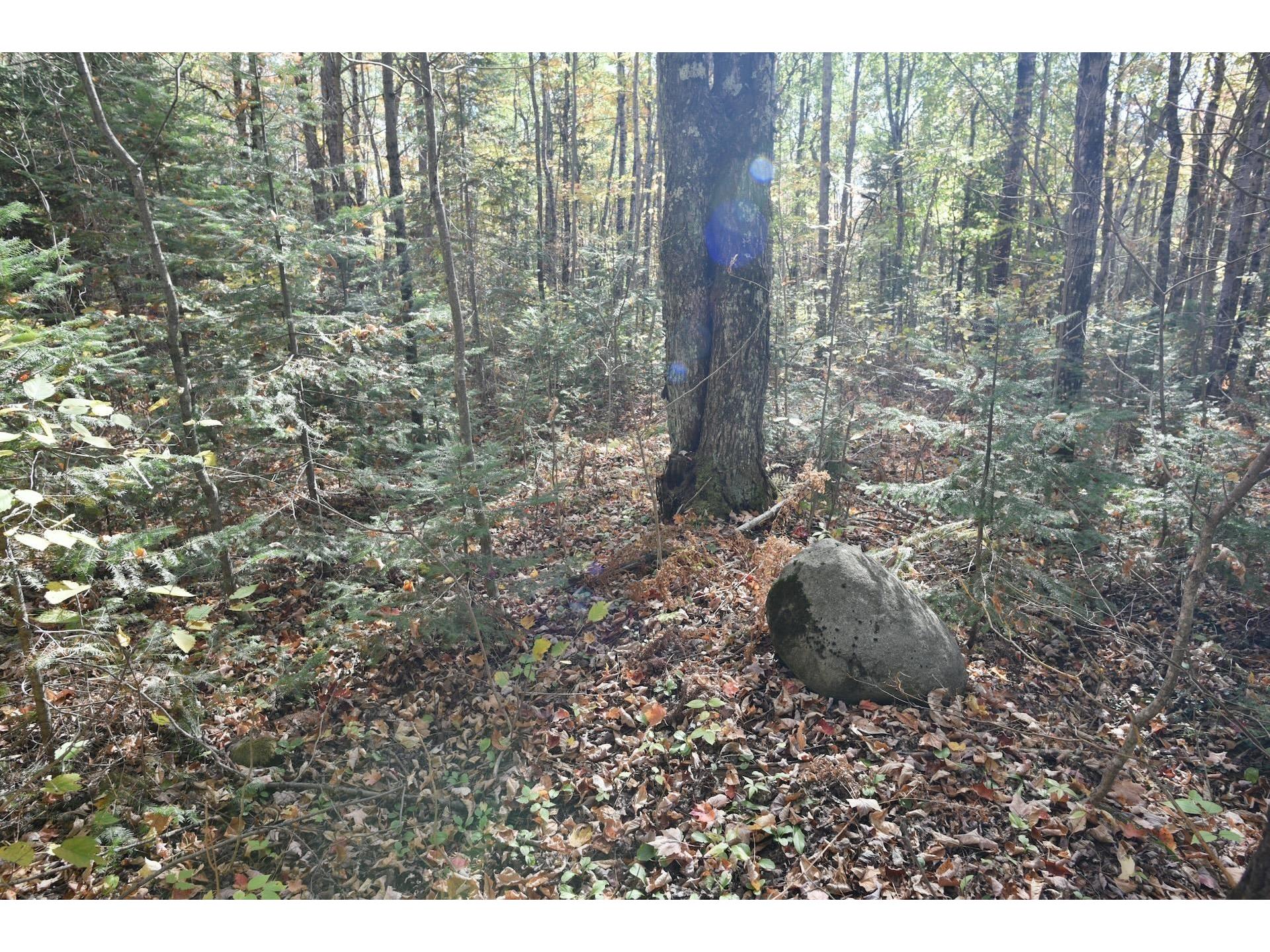 77942 County Line Rd Mellen WI 54546 - Devils 6122150 image32