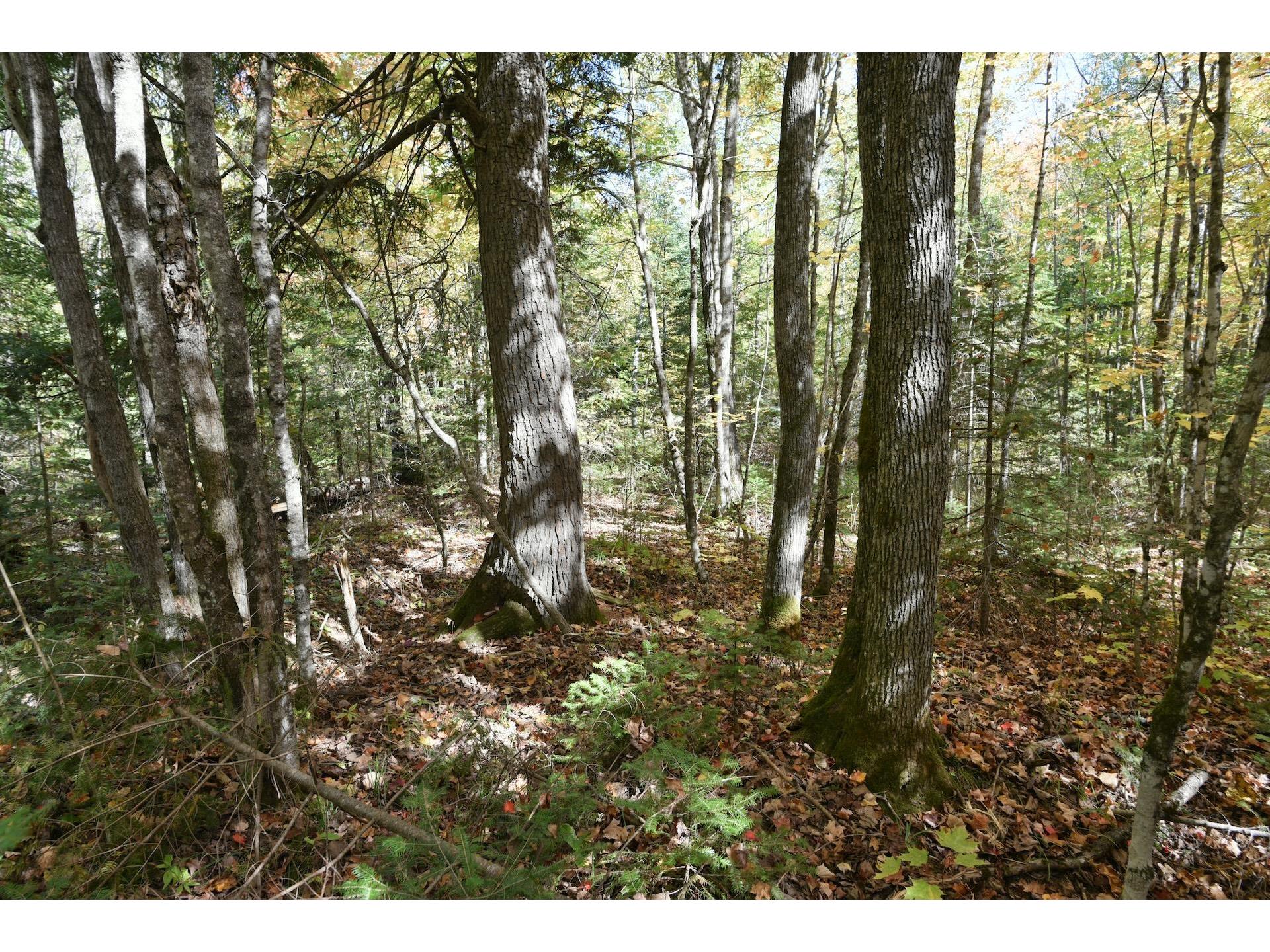 77942 County Line Rd Mellen WI 54546 - Devils 6122150 image33