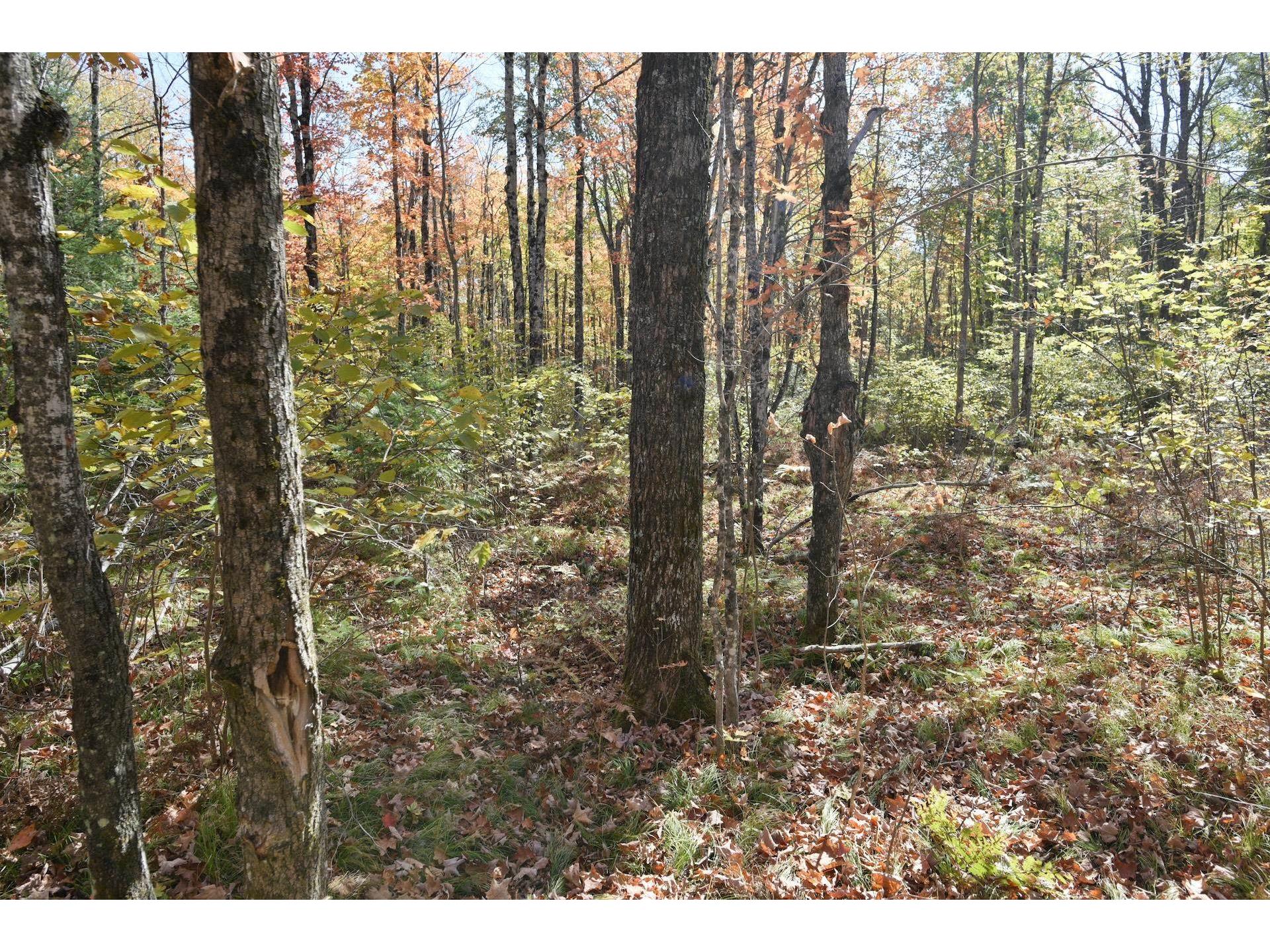 77942 County Line Rd Mellen WI 54546 - Devils 6122150 image34