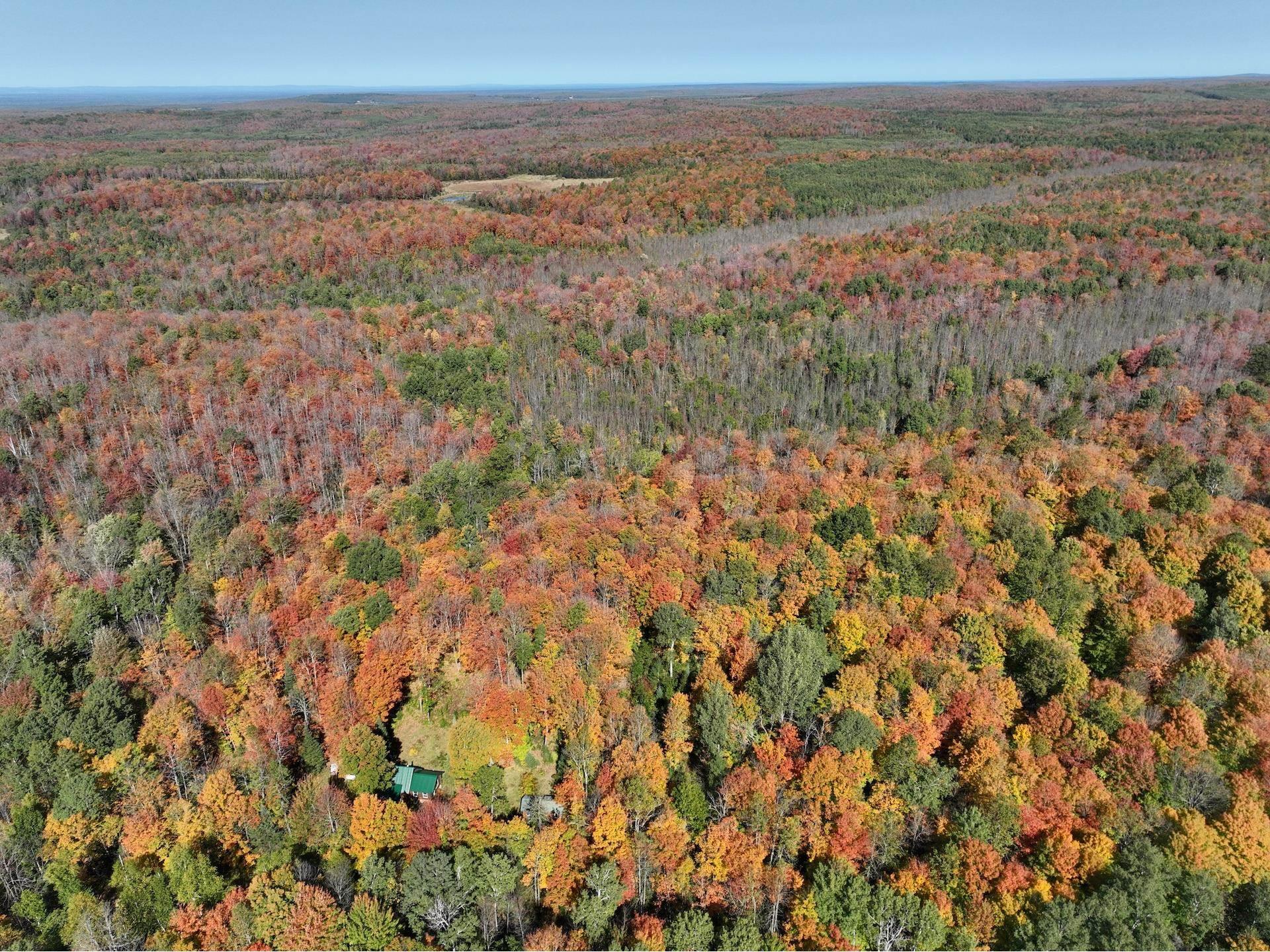 77942 County Line Rd Mellen WI 54546 - Devils 6122150 image37