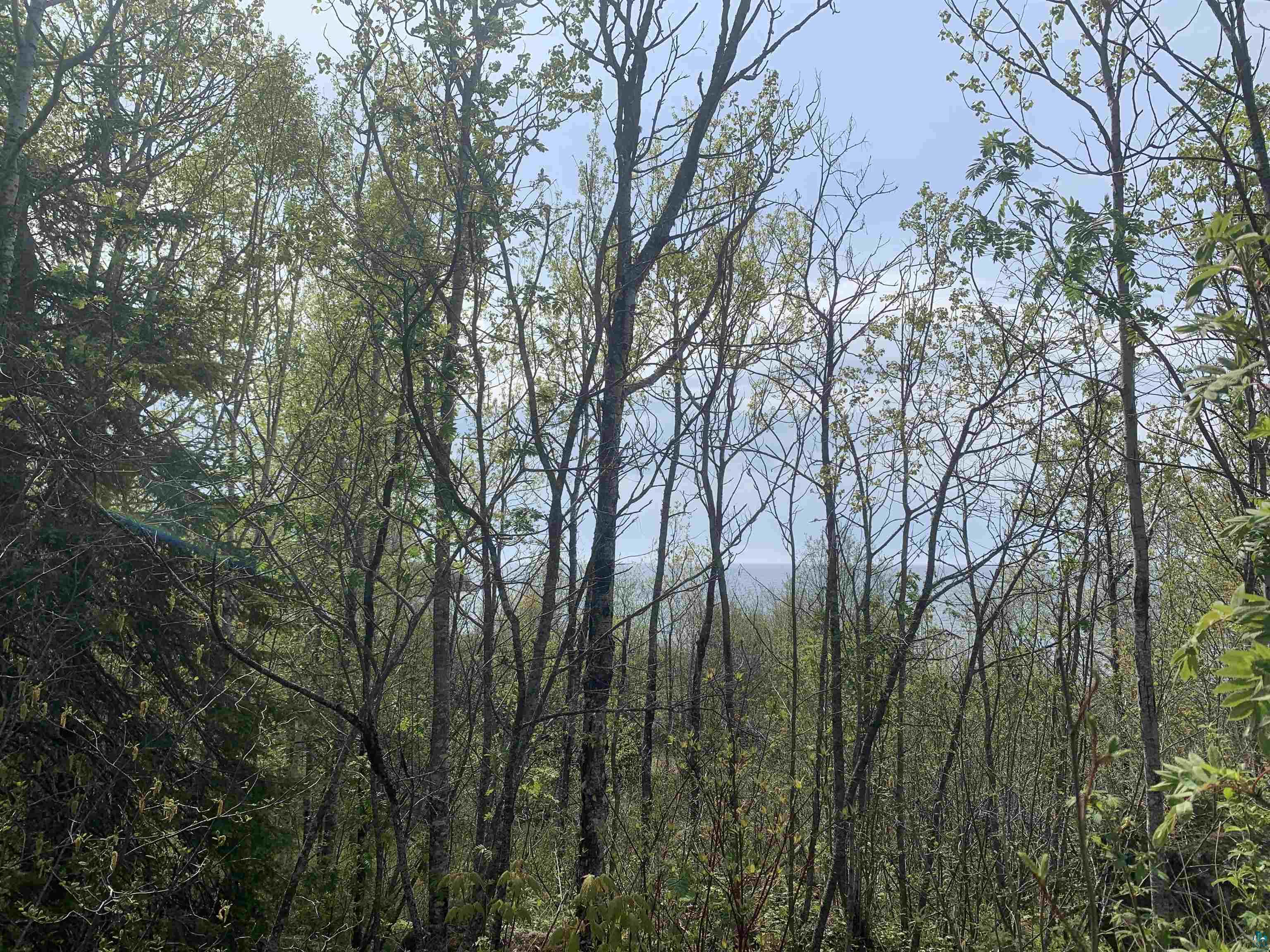 78 Troll's Tr Hovland MN 55606 - Lake Superior 6124369 image23