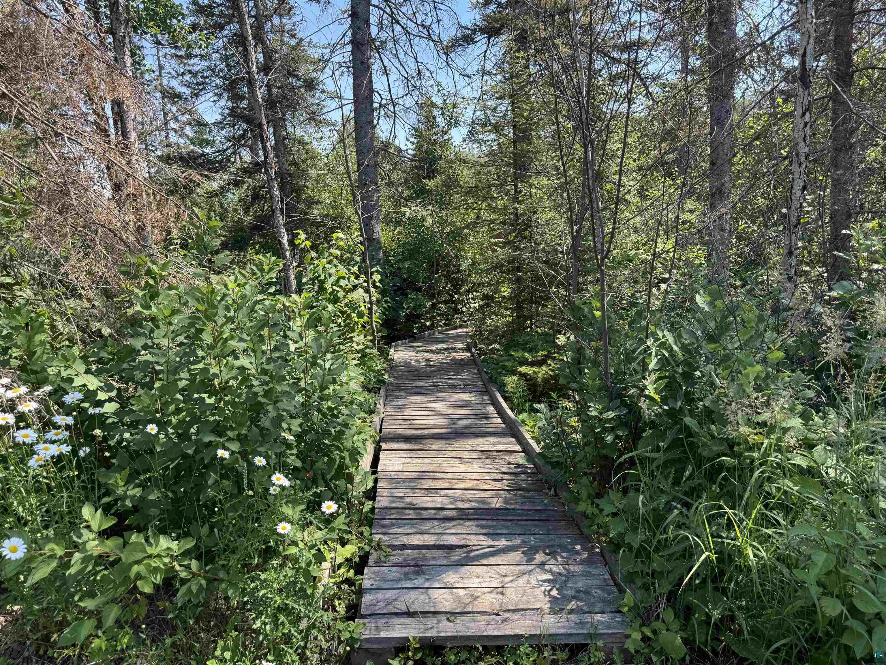 782 County Road 6 Grand Marais MN 55604 - Little Devil Track 6126753 image13