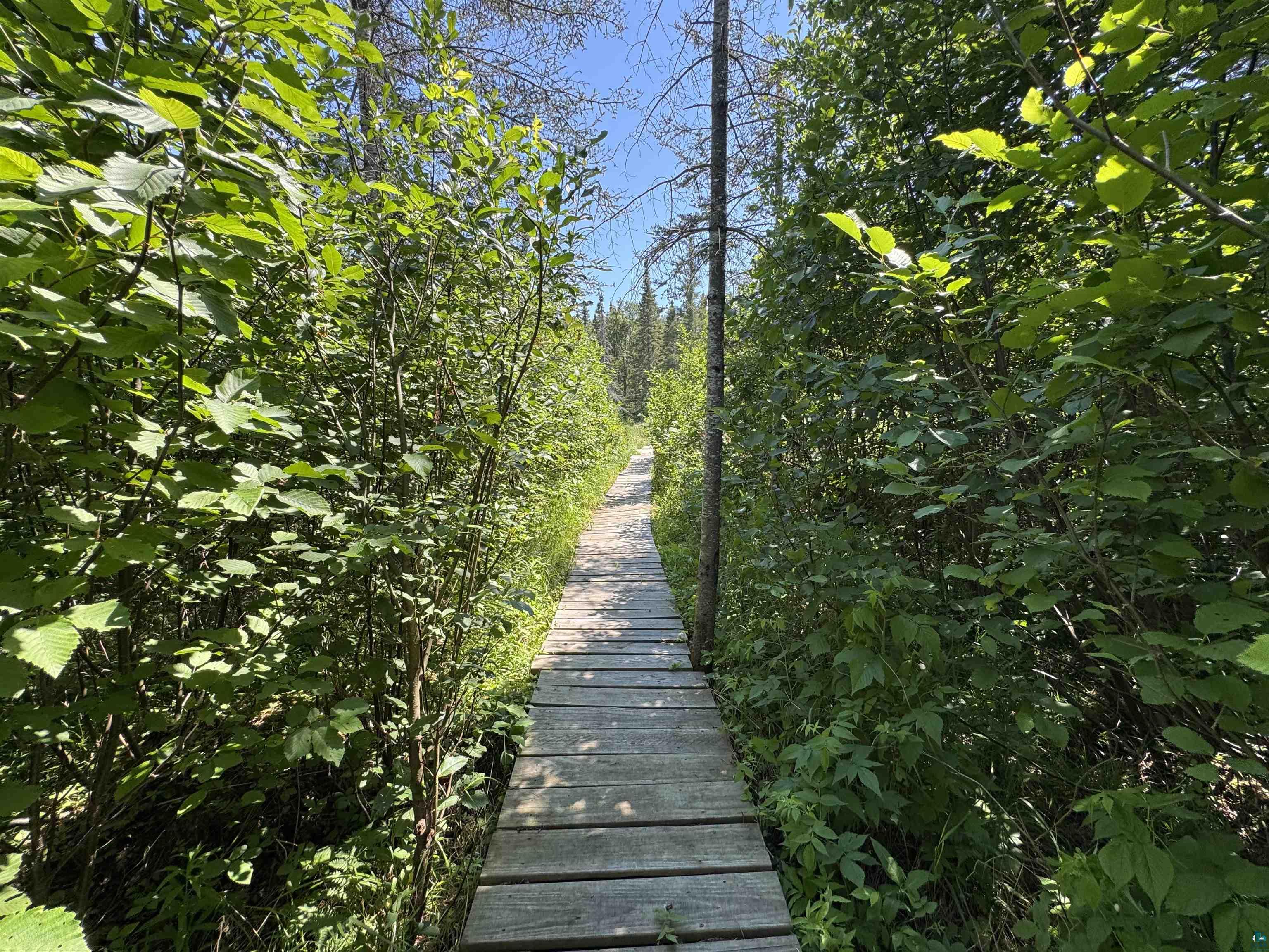 782 County Road 6 Grand Marais MN 55604 - Little Devil Track 6126753 image23