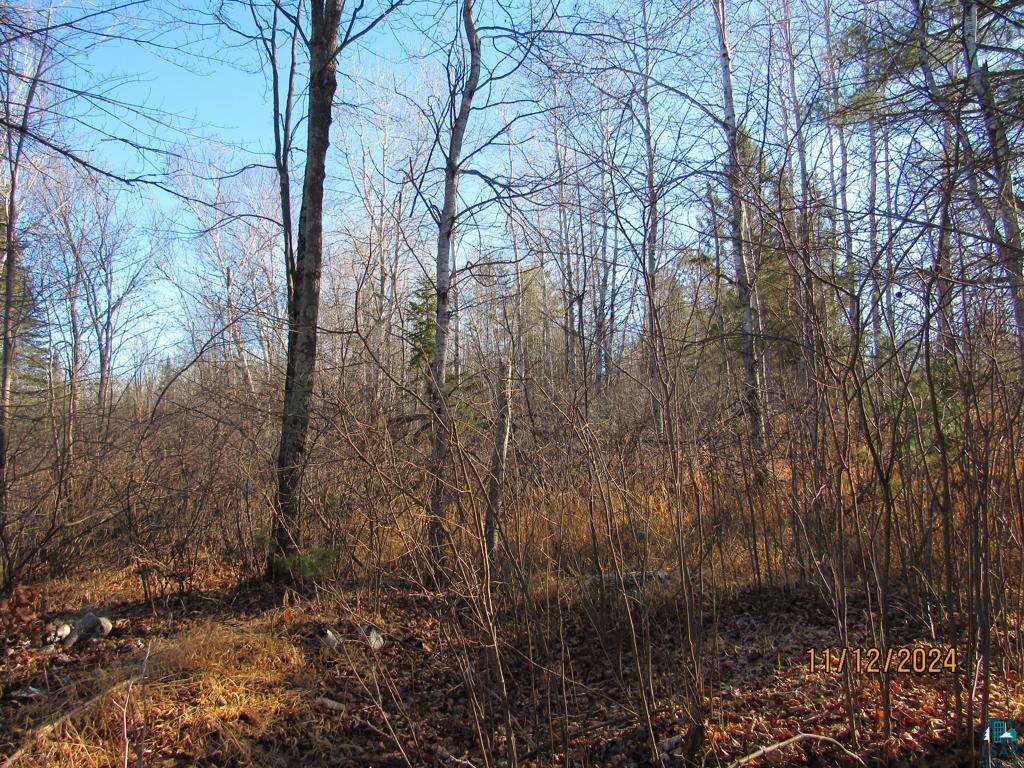 7839 E County Rd M Gordon WI 54838 6117036 image1