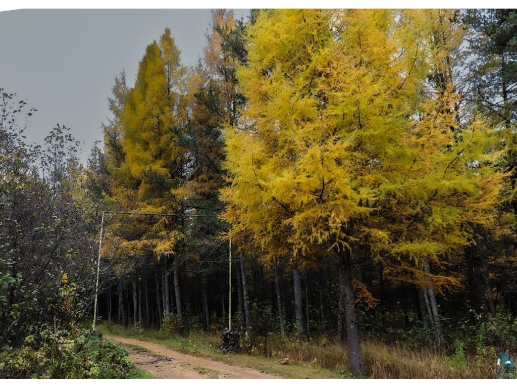 7839 Stromberg Rd Embarrass MN 55732 6123942 image4