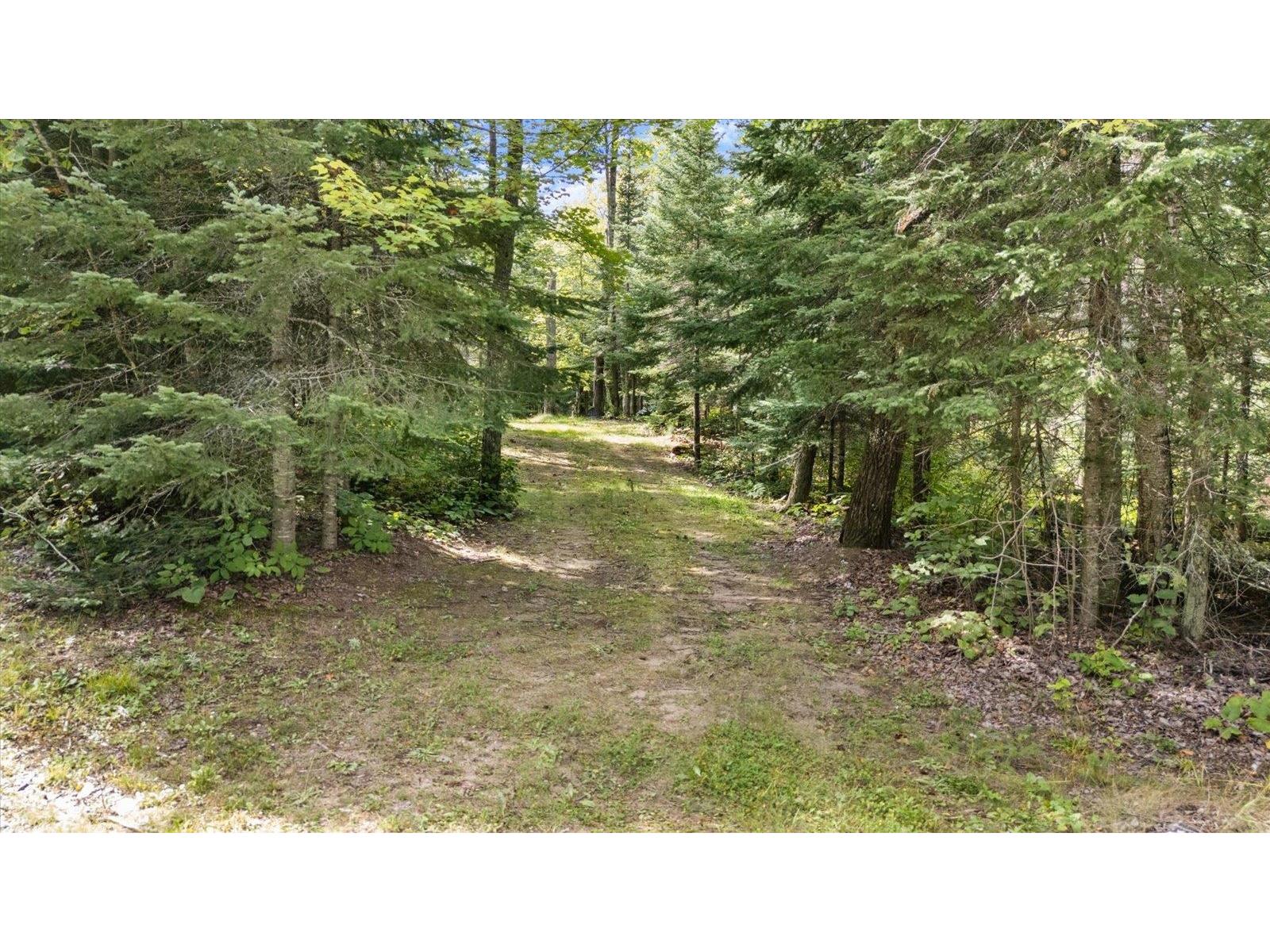 7885 Lake Fourteen Rd Britt MN 55710 6121631 image23