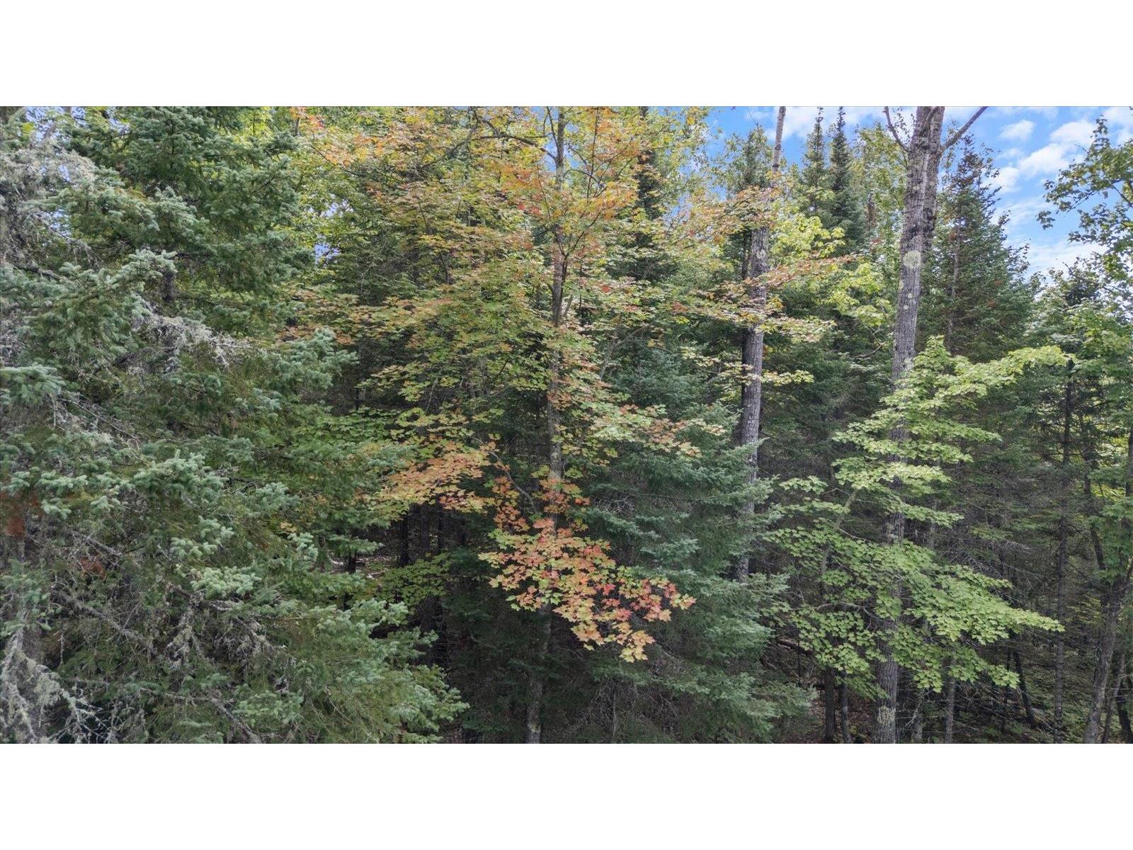 7885 Lake Fourteen Rd Britt MN 55710 6121631 image31