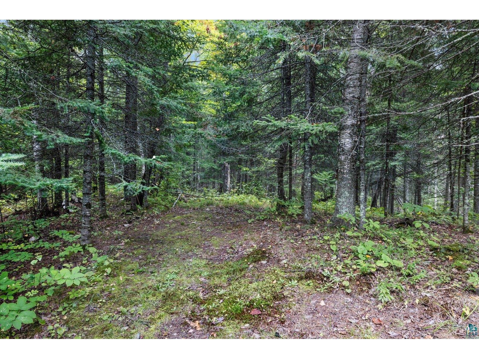 7885 Lake Fourteen Rd Britt MN 55710 6125436 image27