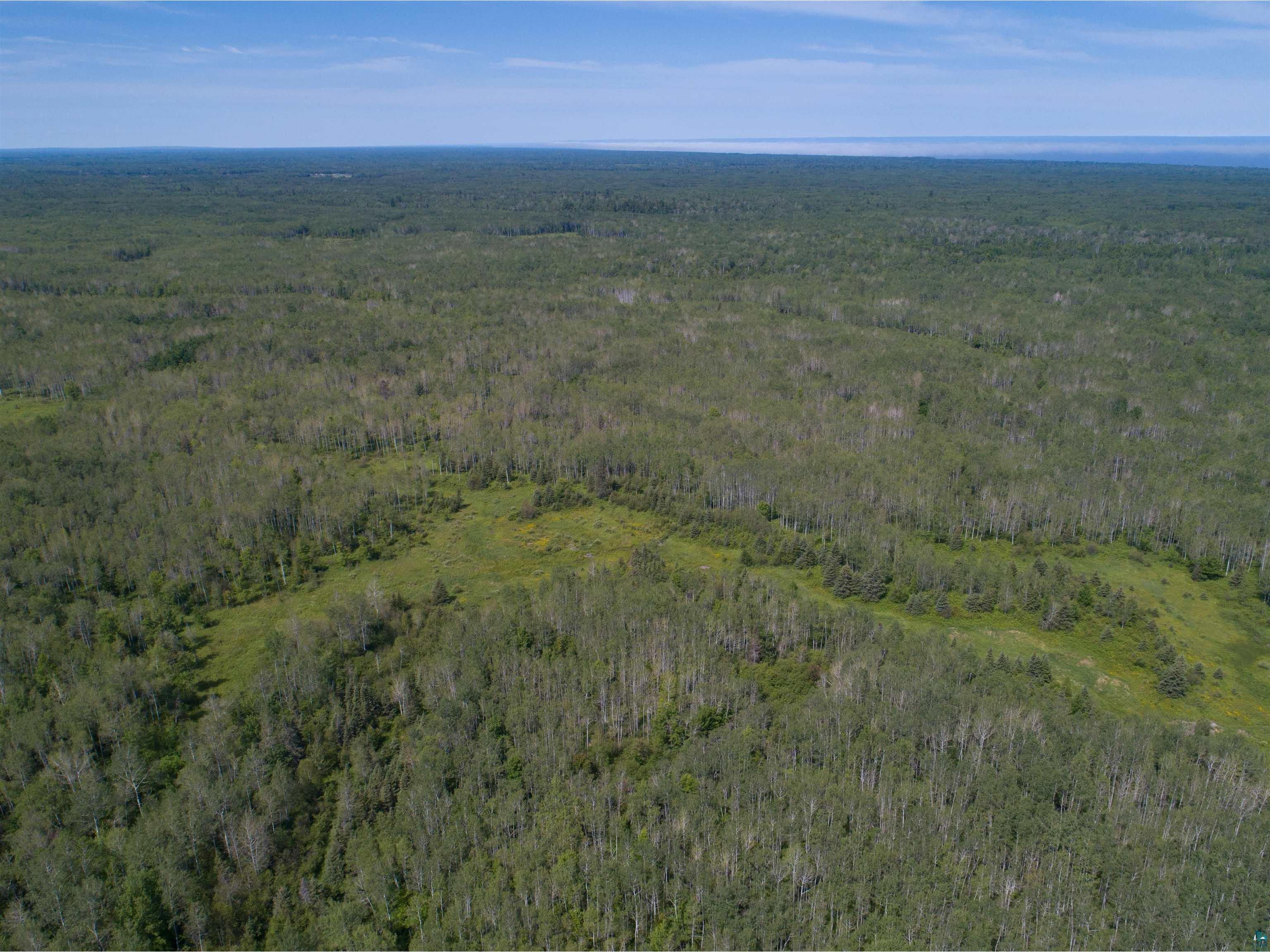 799XX Tar Paper Alley, Port Wing, WI 54865 MLS 6104188 Edina Realty