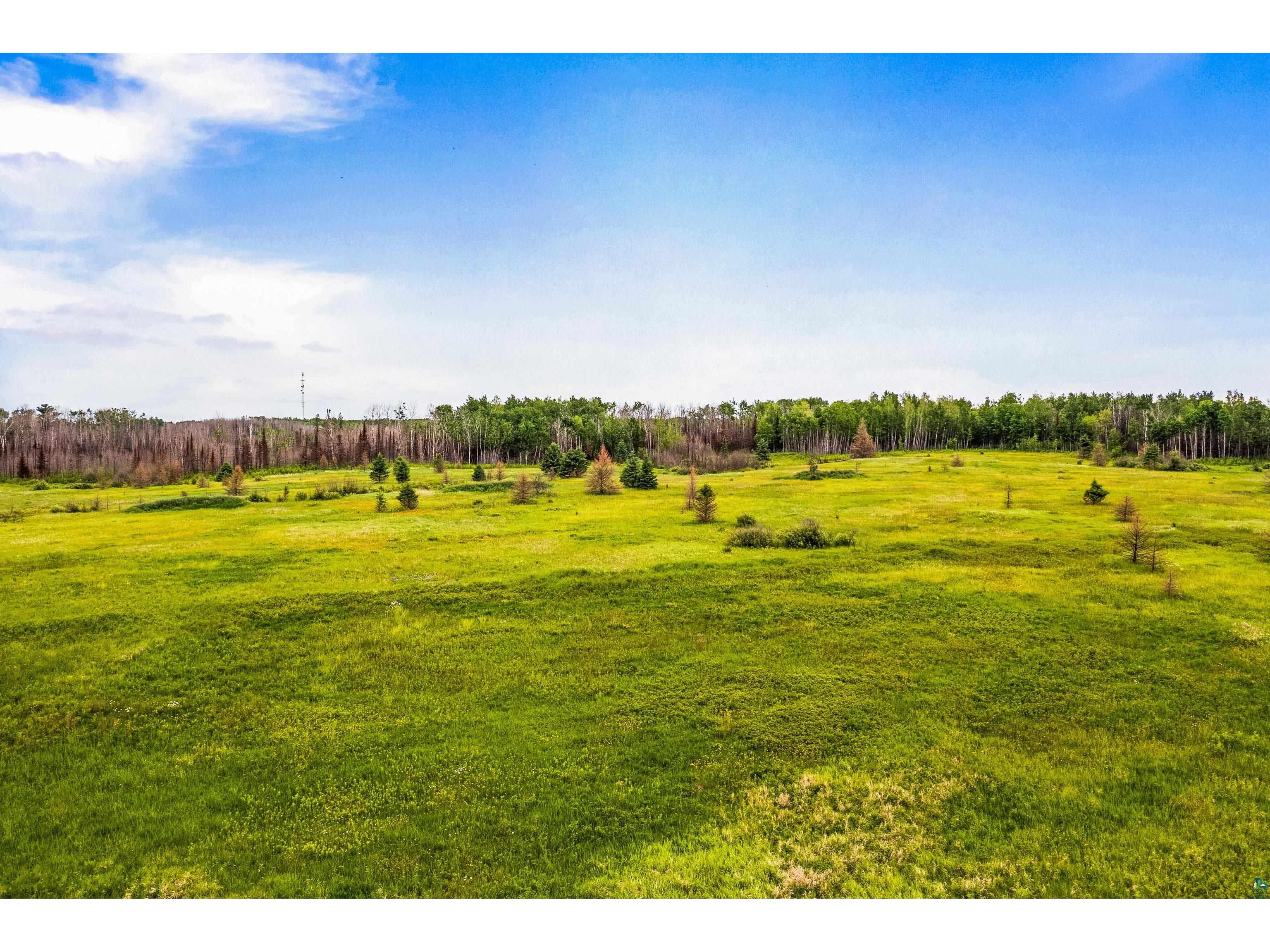 79xx Munger Shaw Rd Canyon MN 55717 6126549 image11