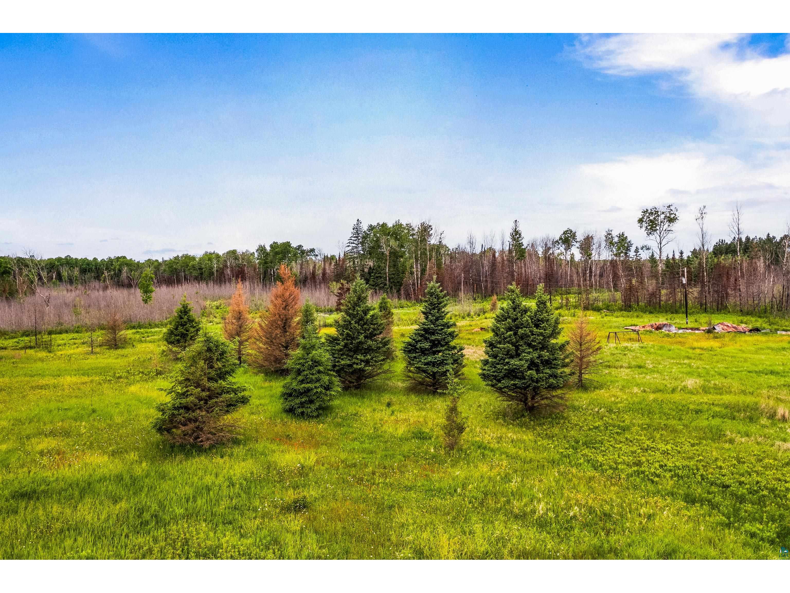 79xx Munger Shaw Rd Canyon MN 55717 6126549 image12