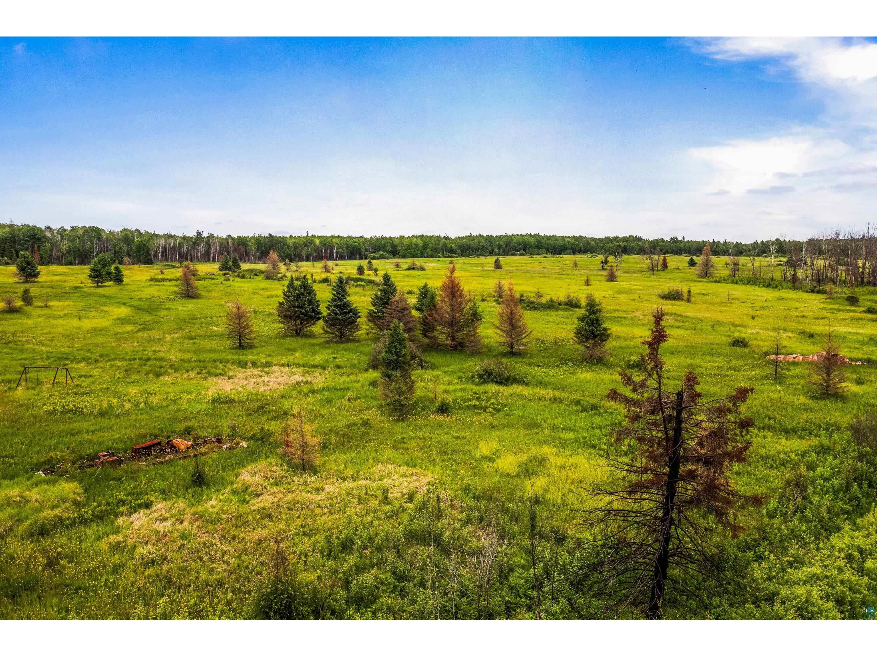 79xx Munger Shaw Rd Canyon MN 55717 6126549 image13