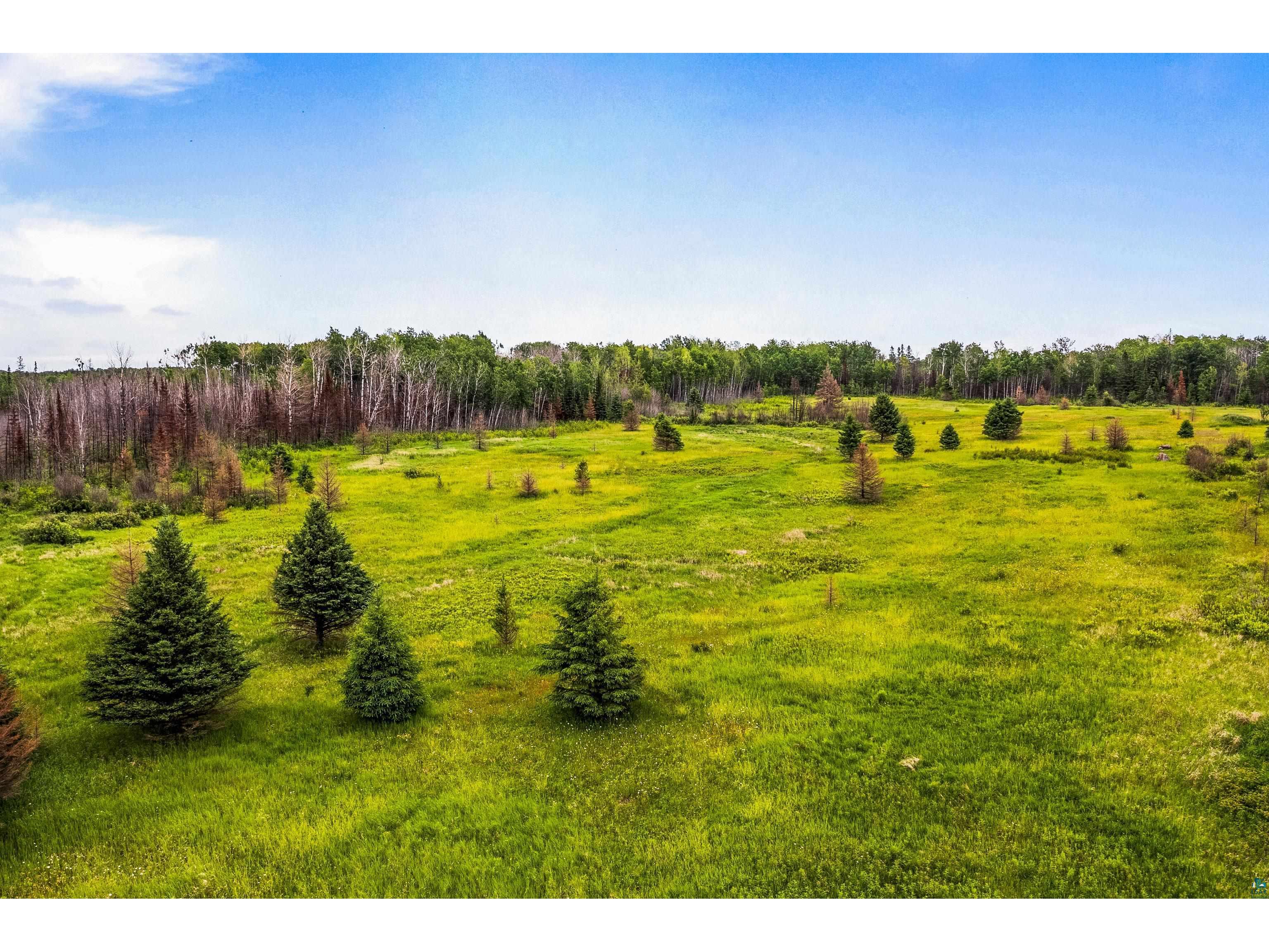 79xx Munger Shaw Rd Canyon MN 55717 6126549 image14