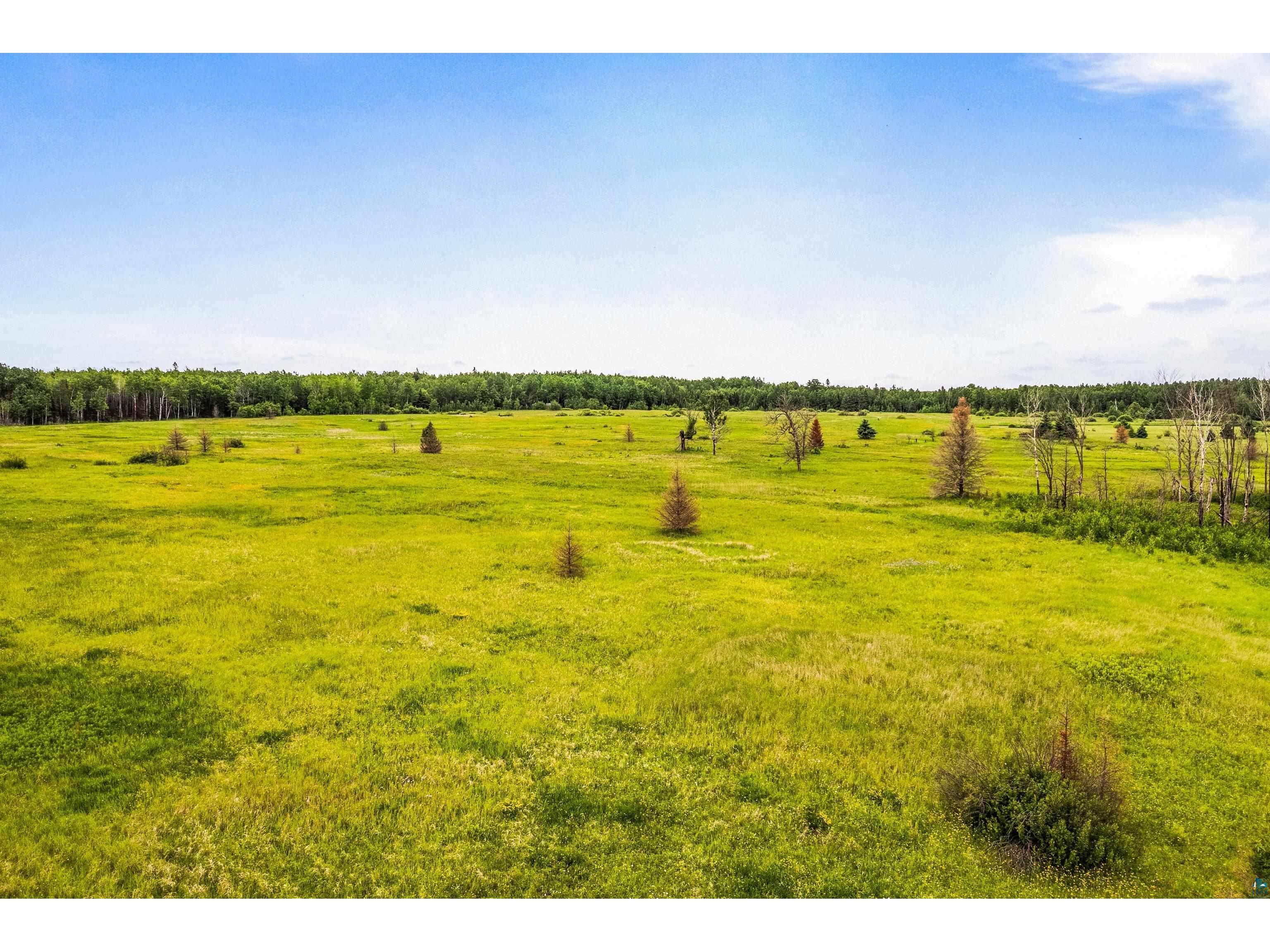 79xx Munger Shaw Rd Canyon MN 55717 6126549 image15