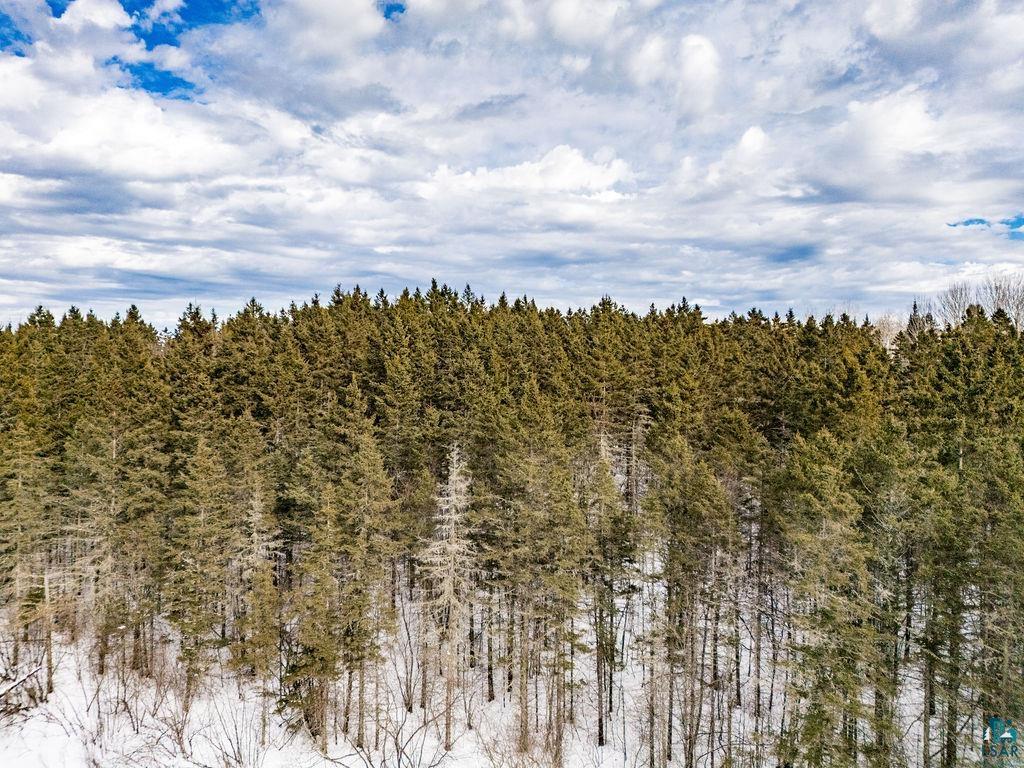 7XX Hawk Hill Rd Knife River MN 55609 - Knife River 6124228 image9