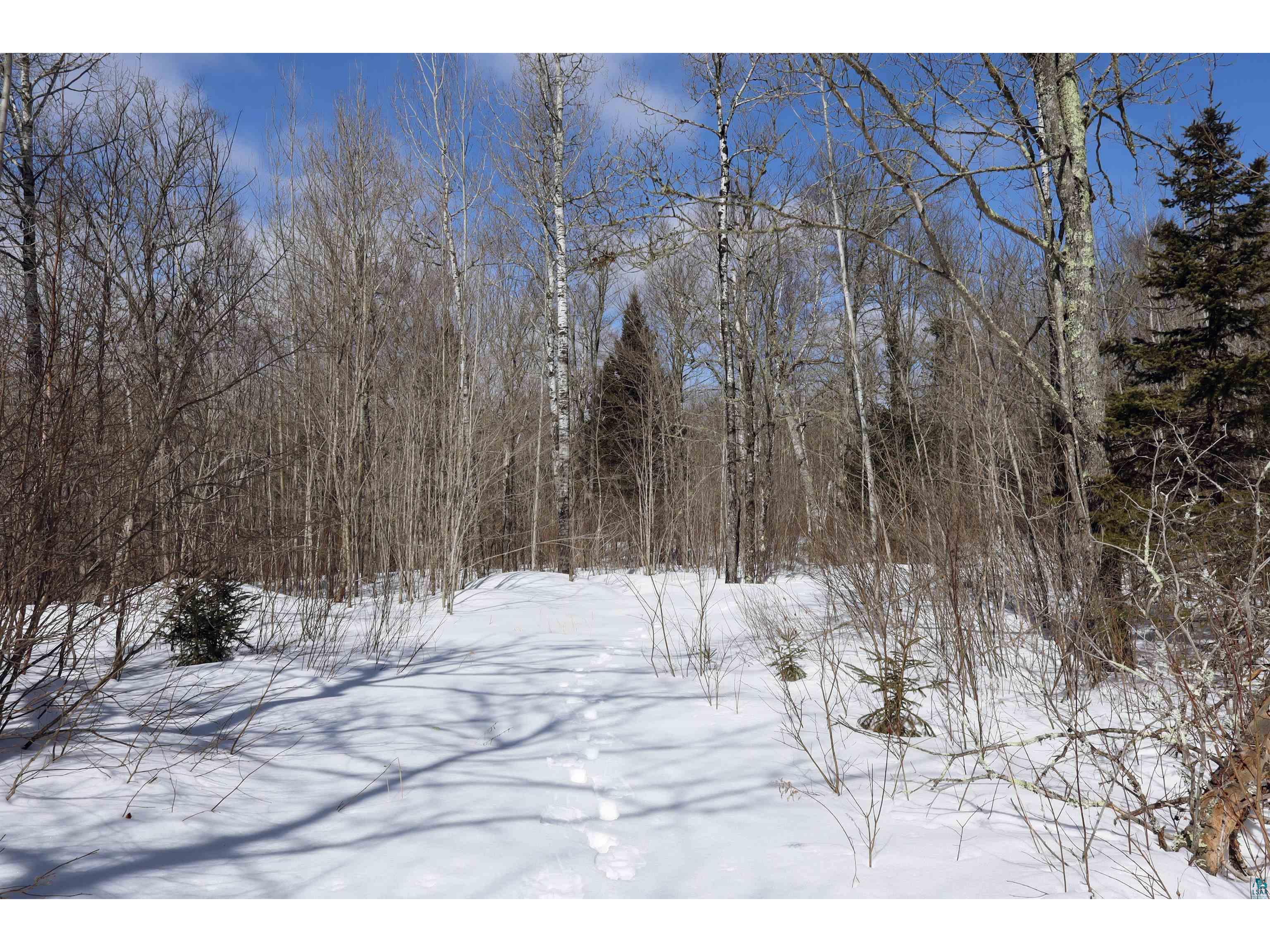 7xx Caspers Hill Rd Grand Marais MN 55604 6124301 image1