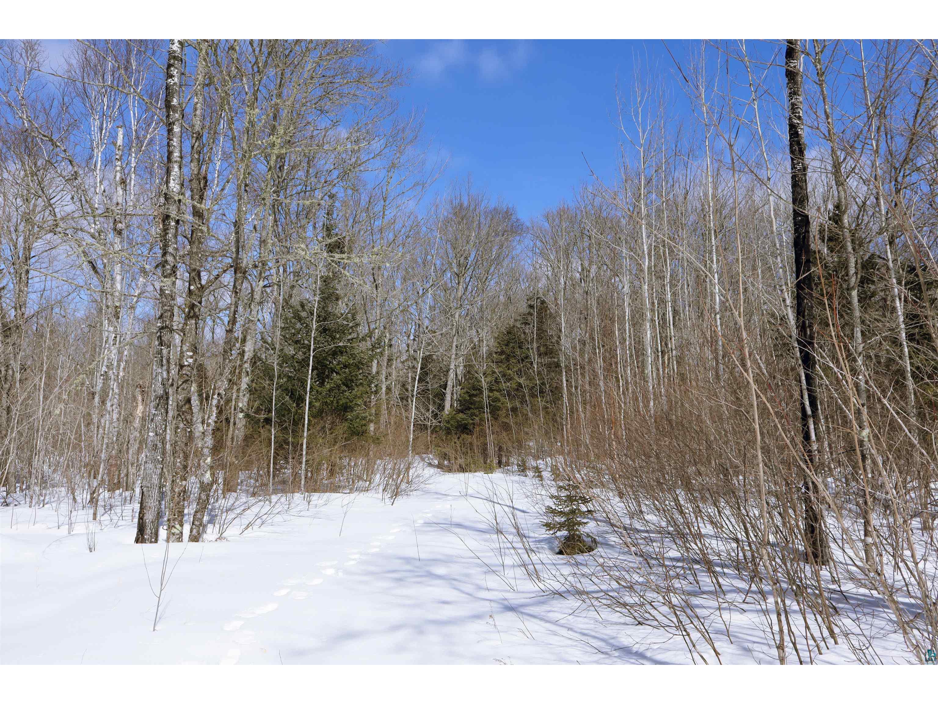 7xx Caspers Hill Rd Grand Marais MN 55604 6124301 image2