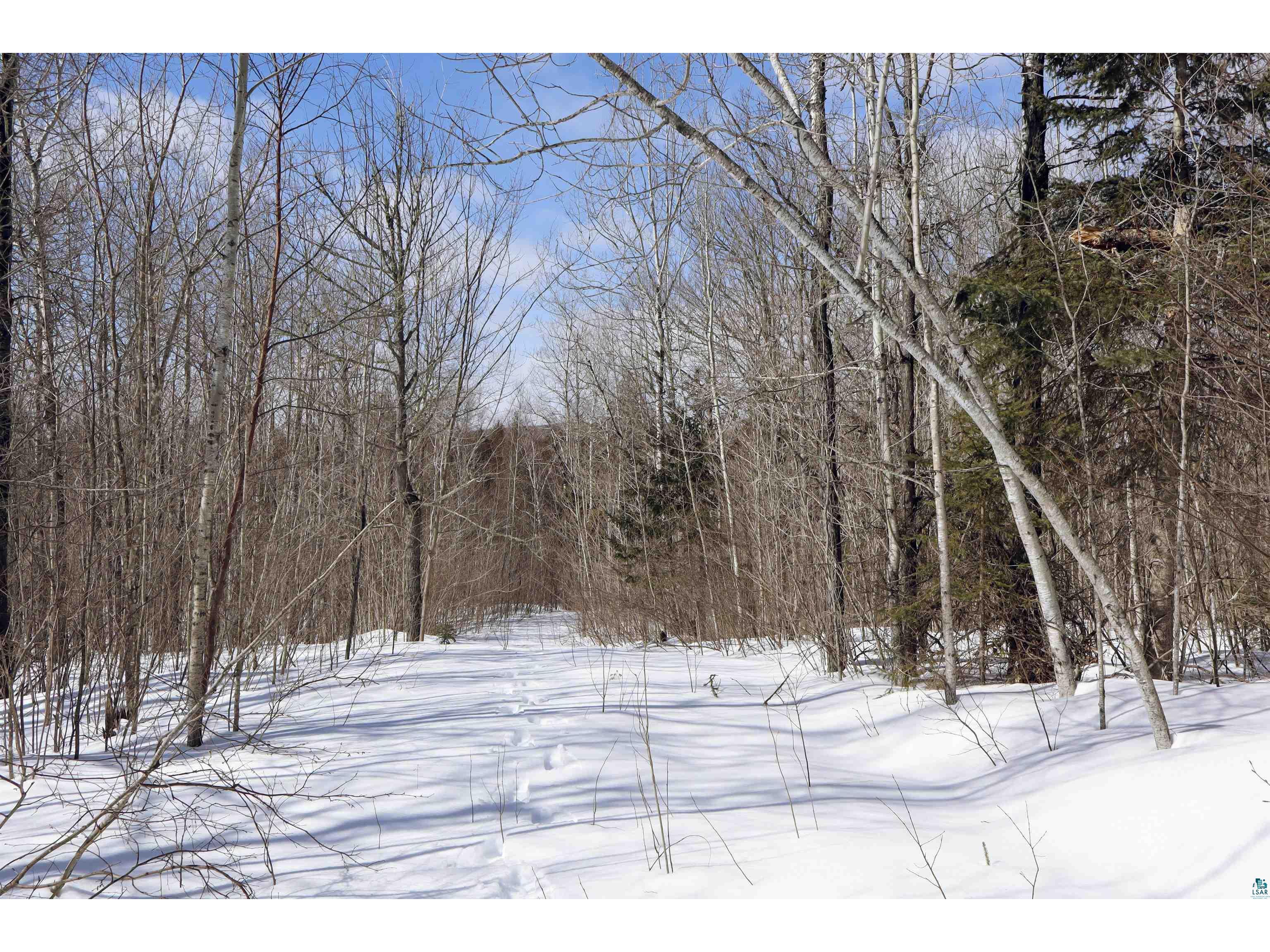 7xx Caspers Hill Rd Grand Marais MN 55604 6124301 image3