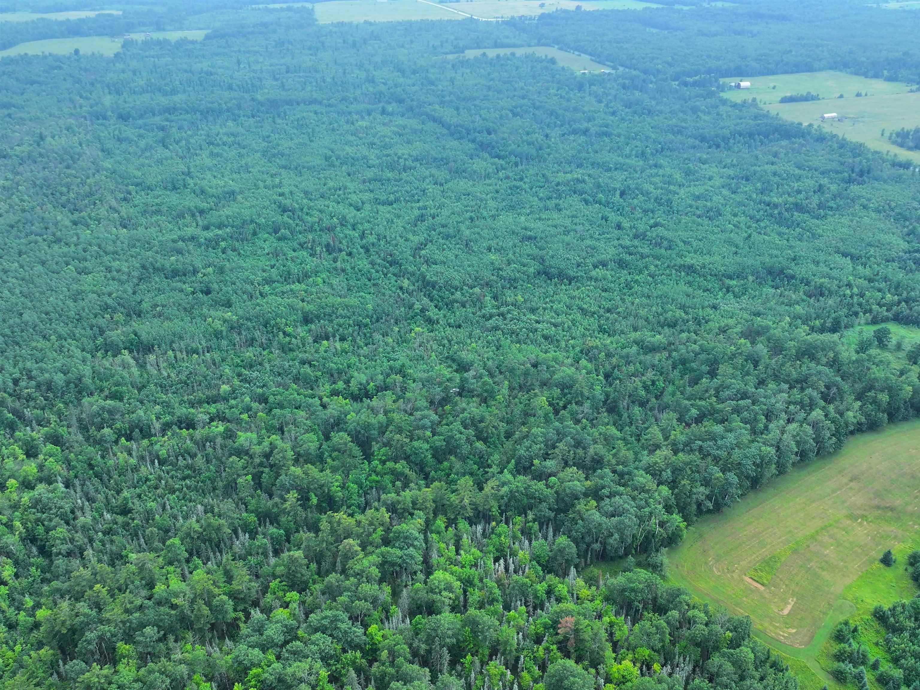 80 Acres on County Line Rd Brule WI 54820 6120395 image10