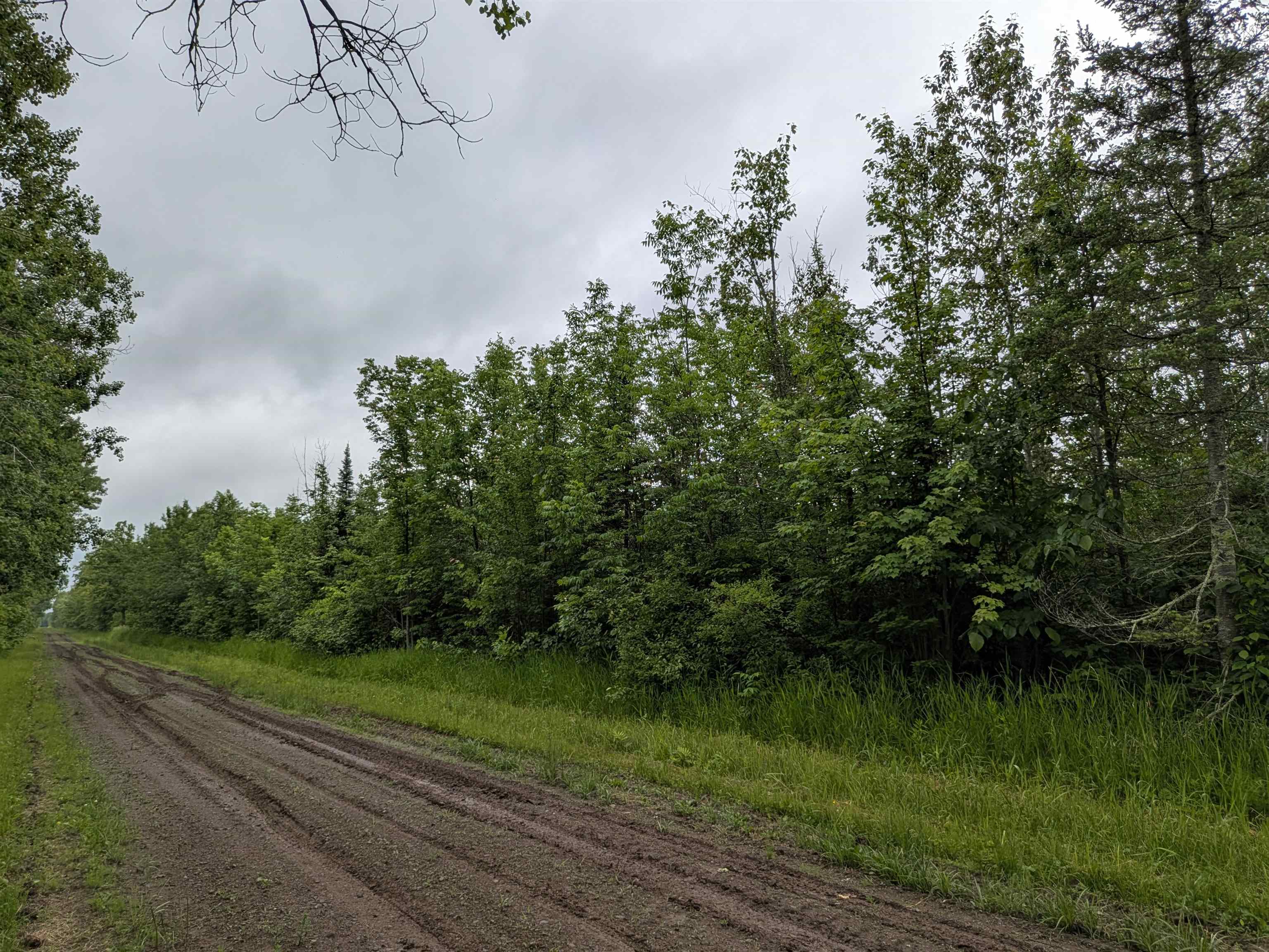 80 Acres on County Line Rd Brule WI 54820 6120395 image2