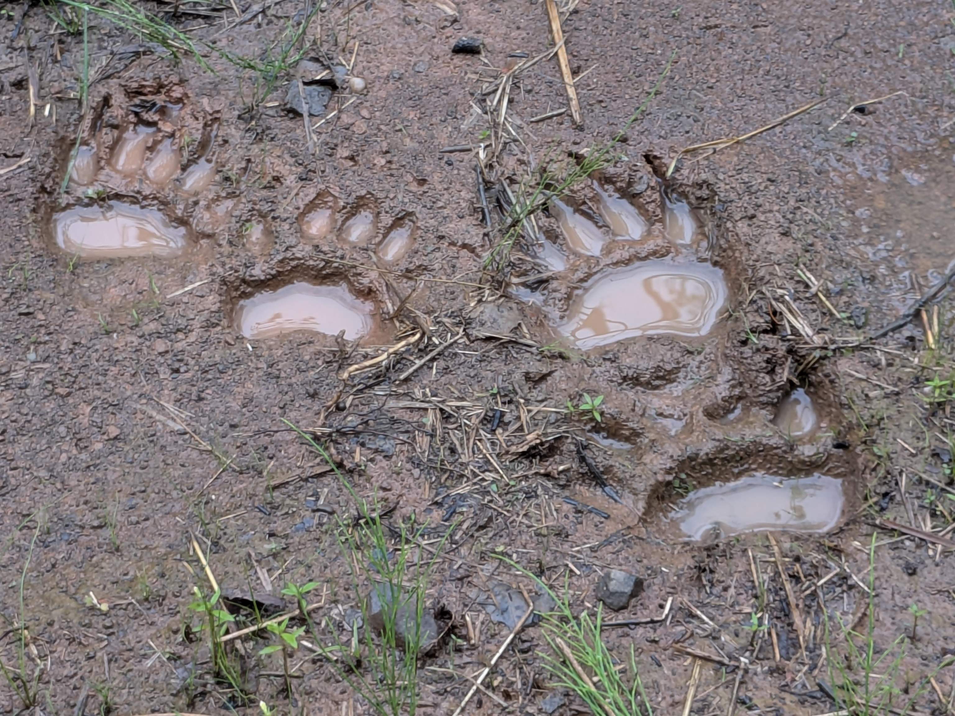 80 Acres on County Line Rd Brule WI 54820 6120395 image4