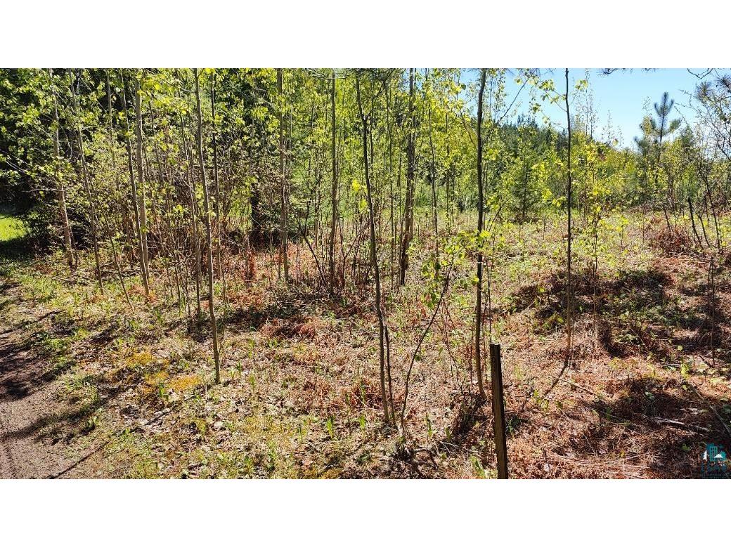 80012 Conifer Crest Tower MN 55790 - Vermilion 6124339 image3