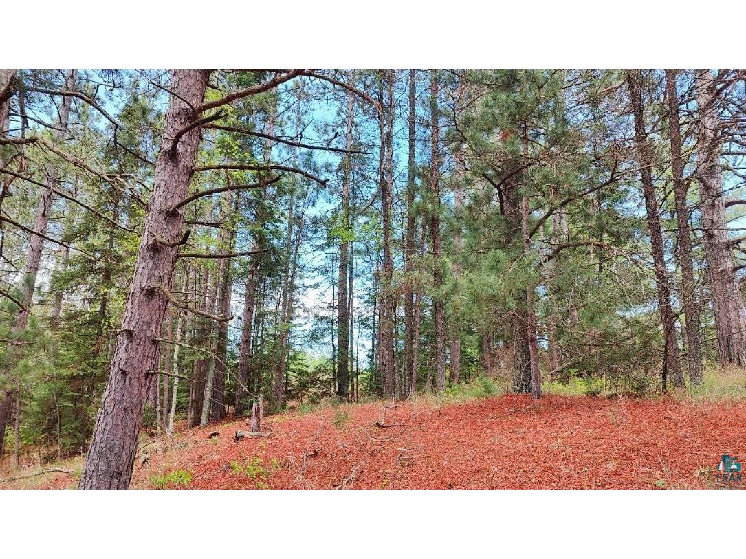 80064 Osprey Pass Tower MN 55790 - Vermilion 6124341 image13