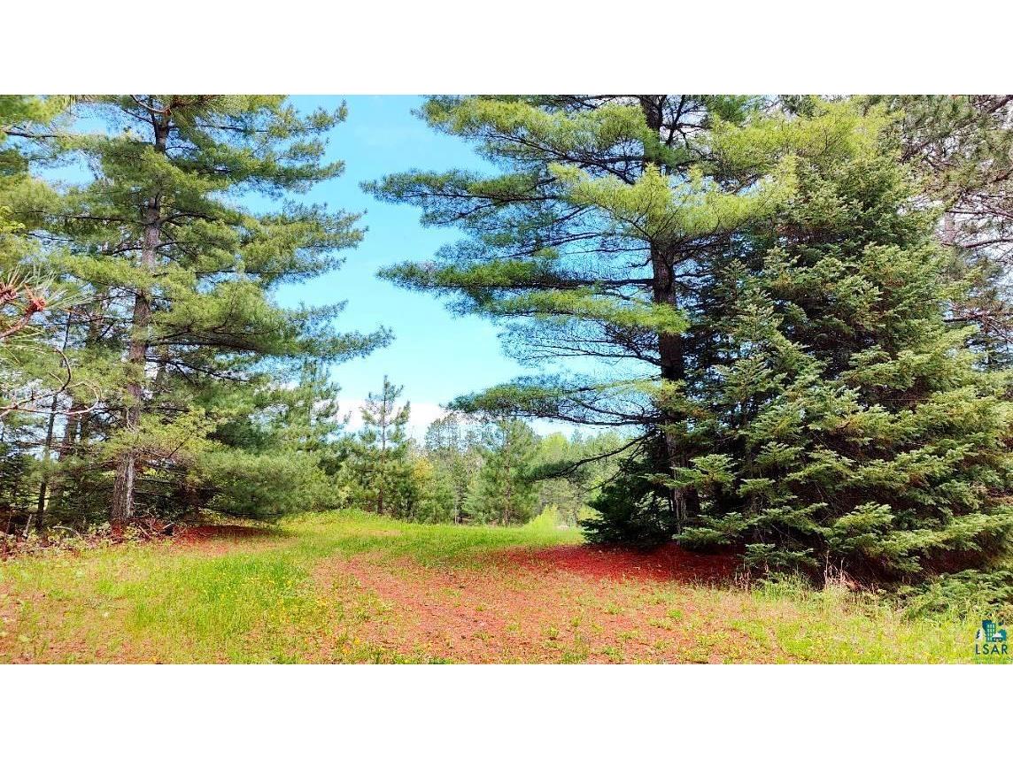 80064 Osprey Pass Tower MN 55790 - Vermilion 6124341 image8