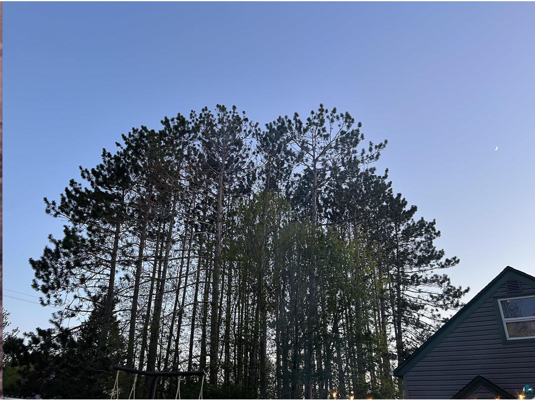 804 12th St Cloquet MN 55720 6124745 image22