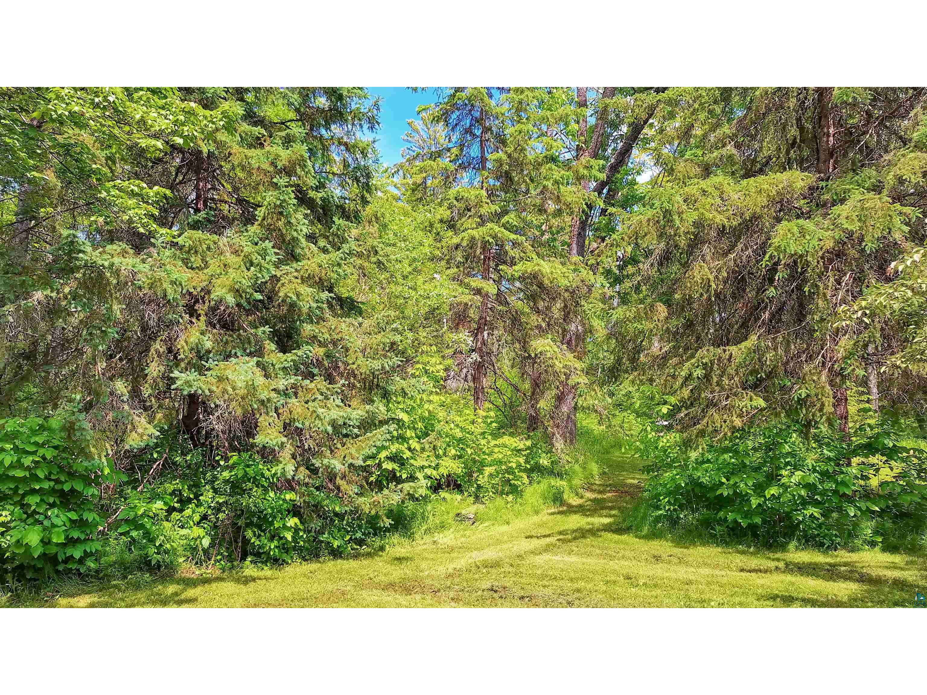 804 Middle Rd Lapointe WI 54850 6124034 image33