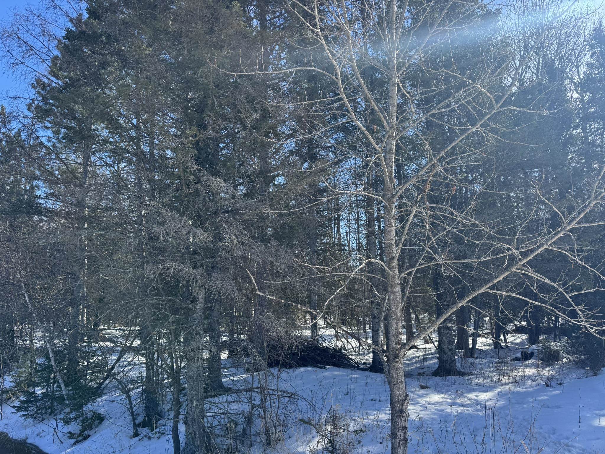 812 Old Drummond Rd Two Harbors MN 55616 6123682 image6