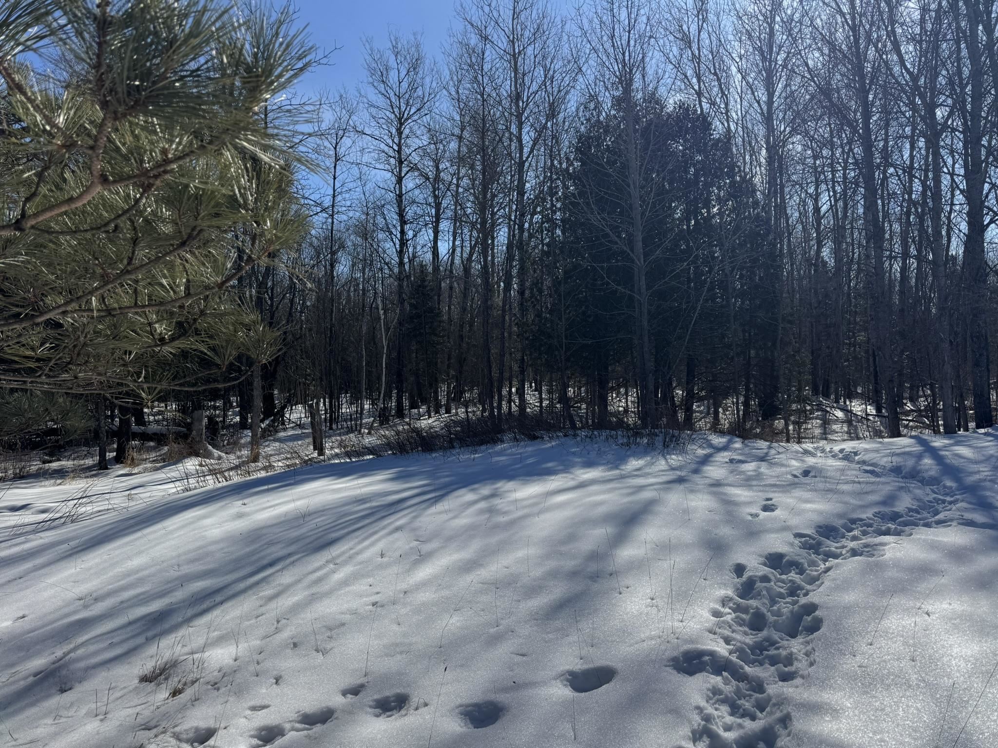 812 Old Drummond Rd Two Harbors MN 55616 6123682 image8