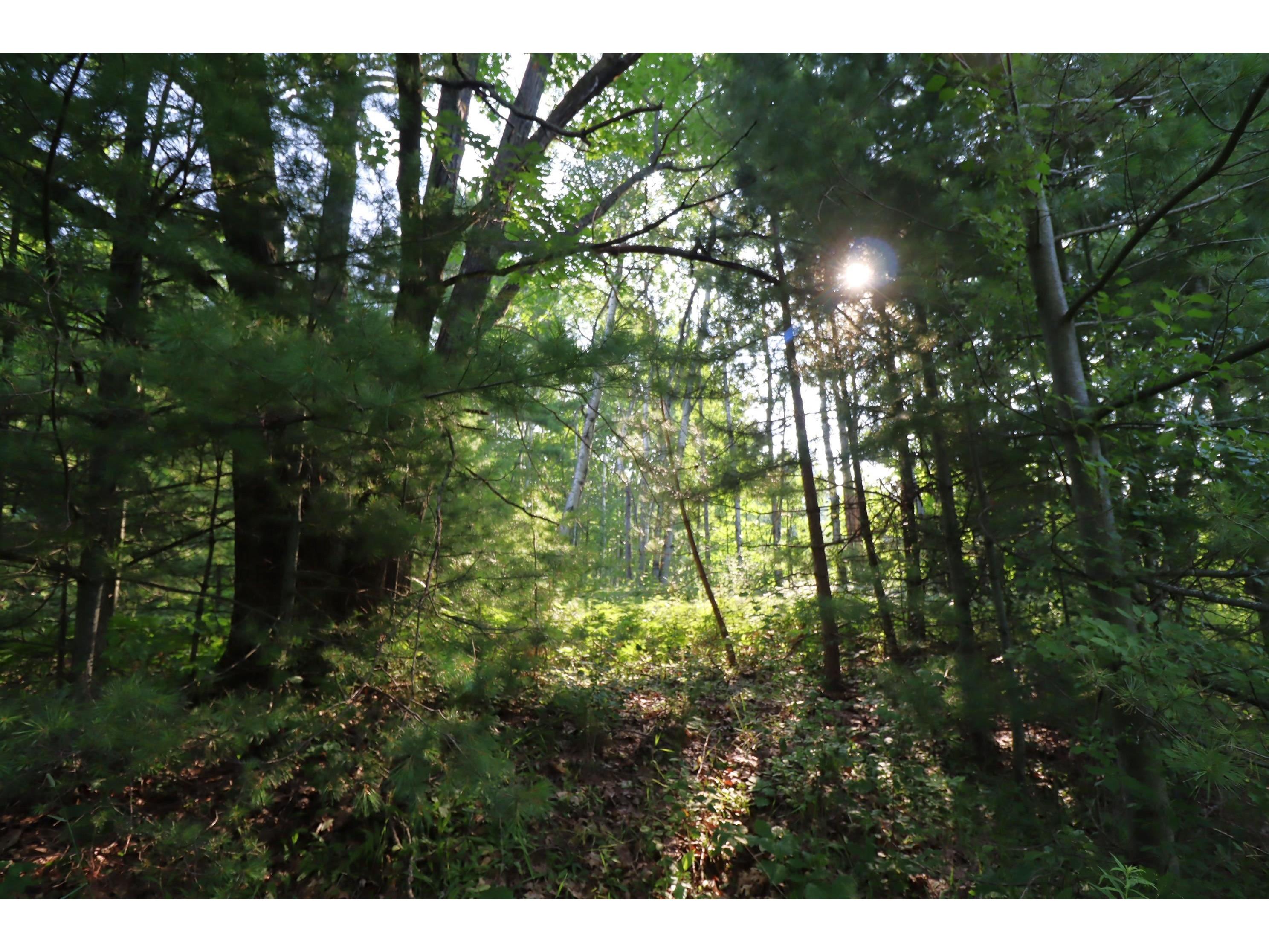 814 N 8th Ave W Washburn WI 54891 6121023 image14