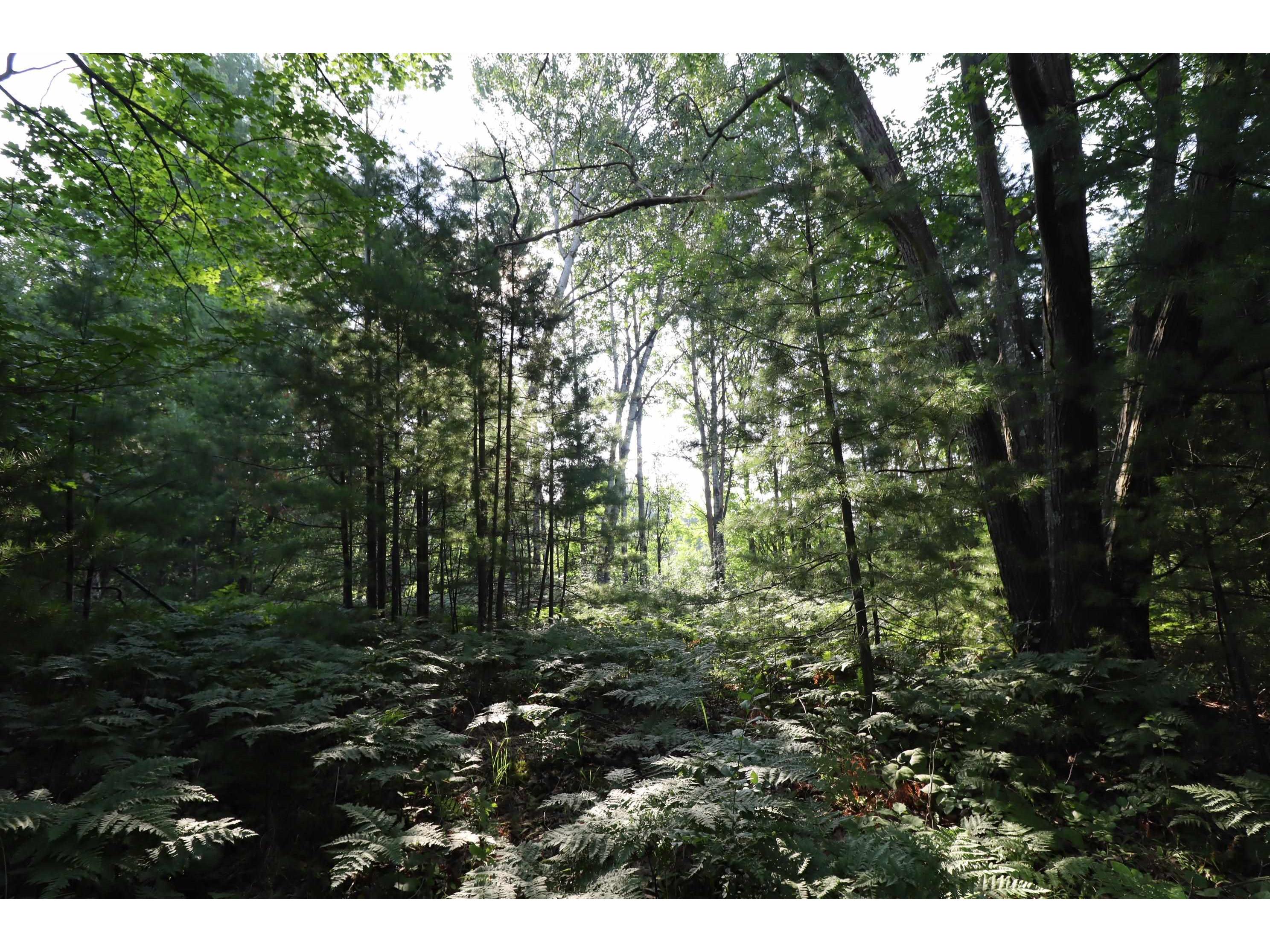 814 N 8th Ave W Washburn WI 54891 6121023 image15