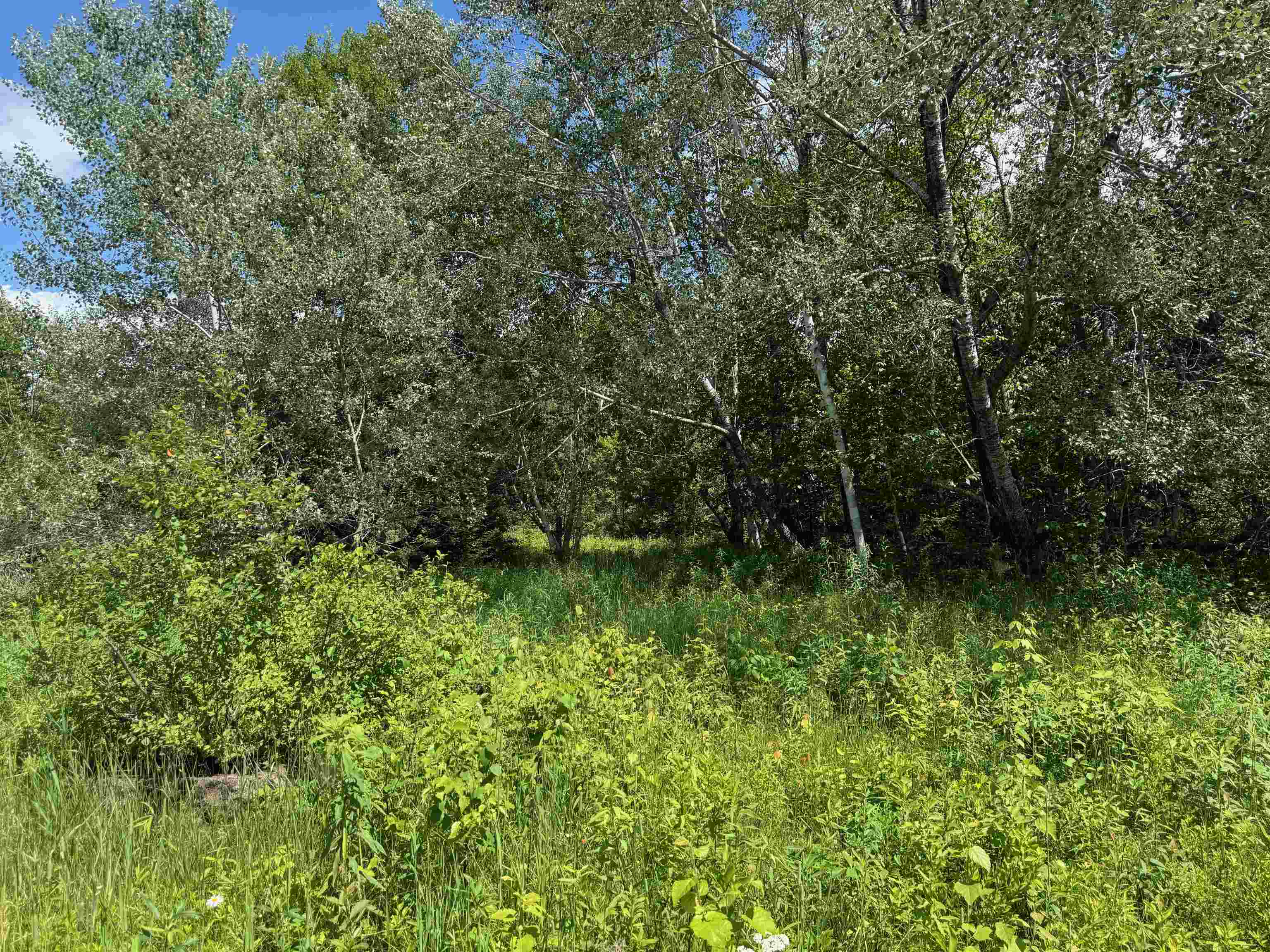 8143 N Wright Rd Winter WI 54896 6121921 image13