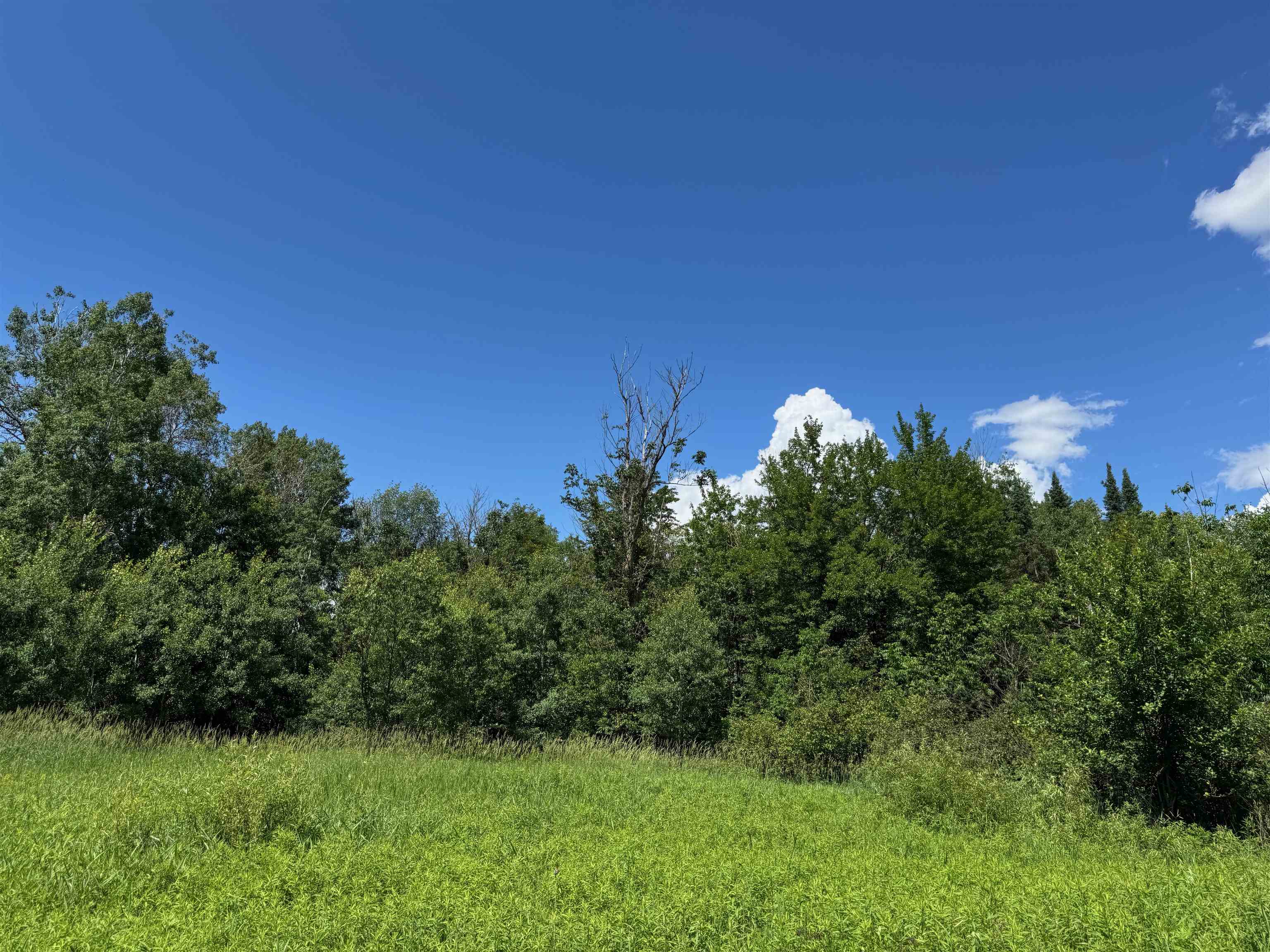 8143 N Wright Rd Winter WI 54896 6121921 image15