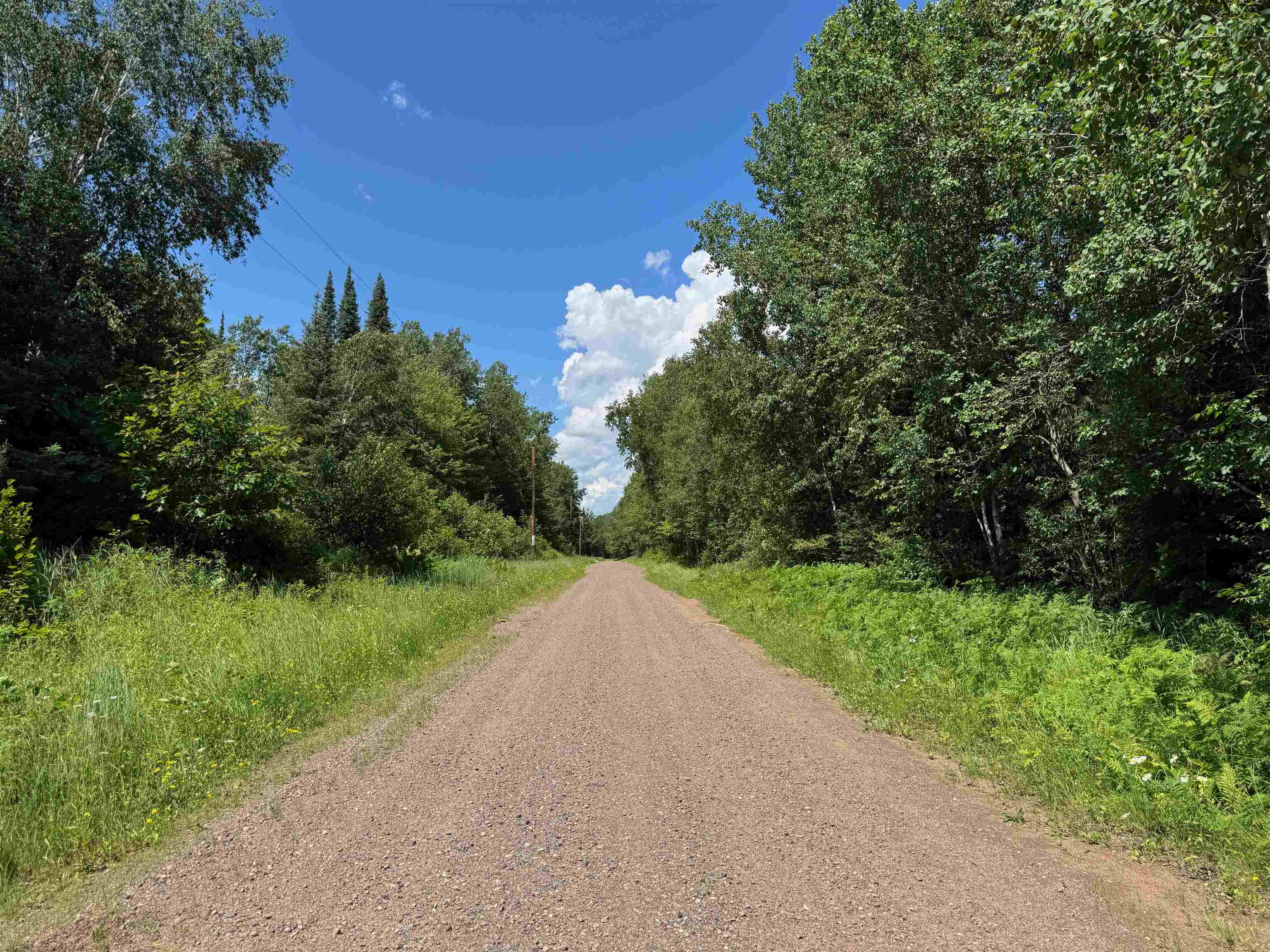 8143 N Wright Rd Winter WI 54896 6121921 image5