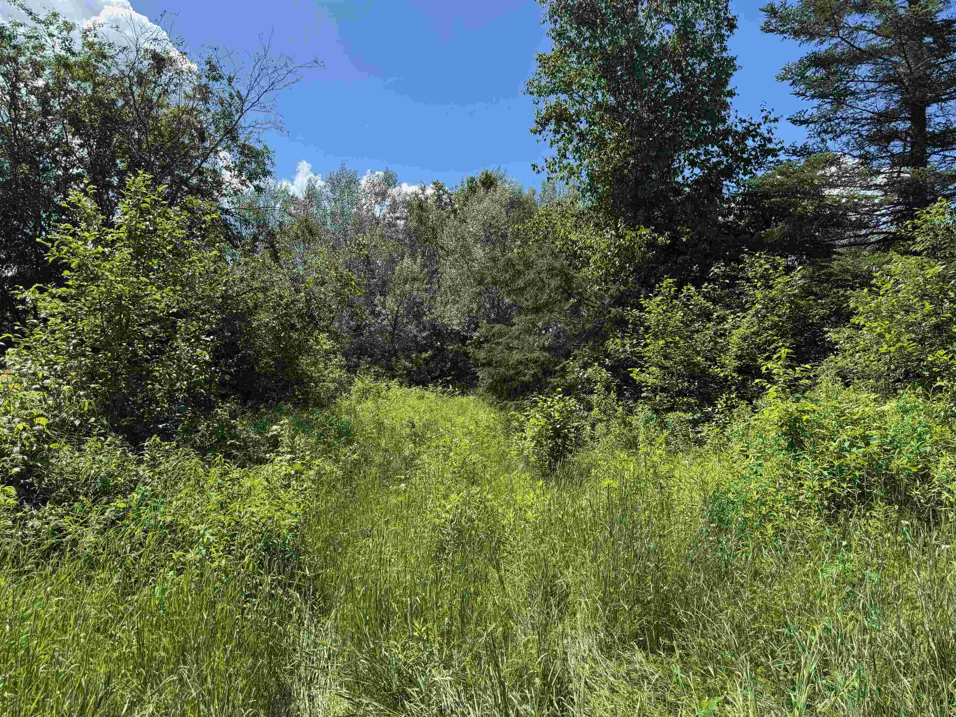 8143 N Wright Rd Winter WI 54896 6121921 image7