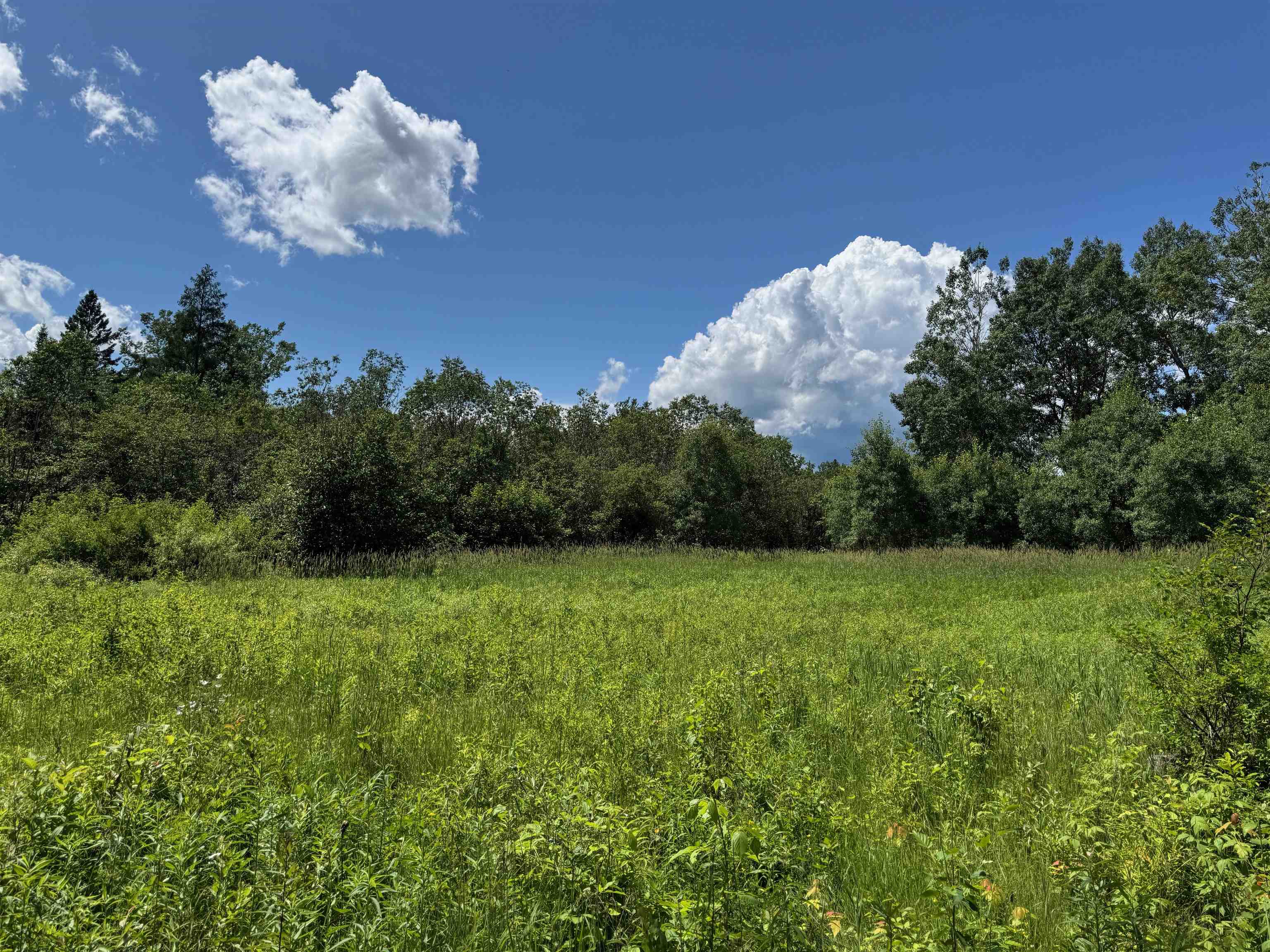 8143 N Wright Rd Winter WI 54896 6121921 image8