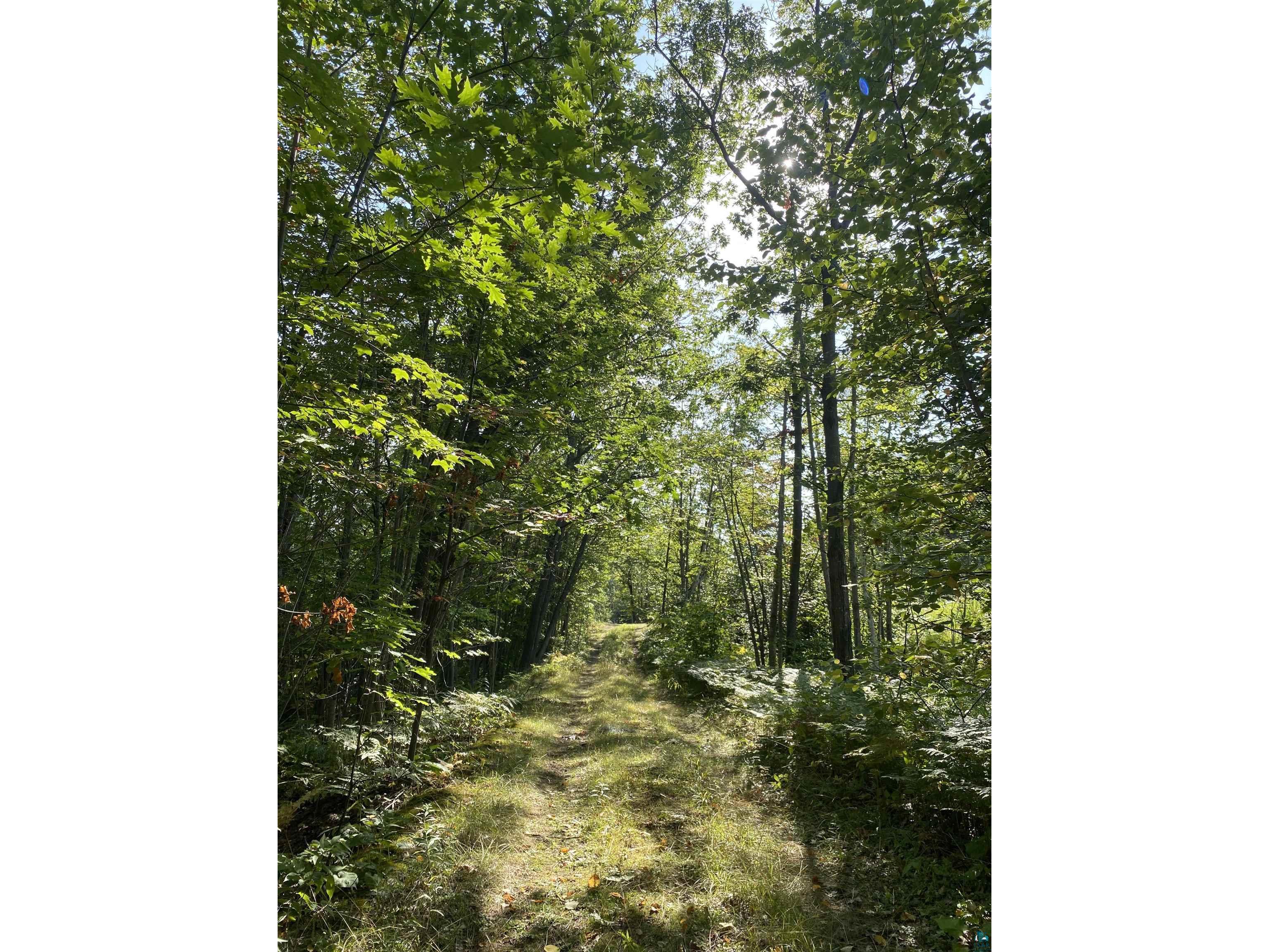 824xx State Highway 13, Bayfield, WI, 54814 MLS 6113870 Edina Realty