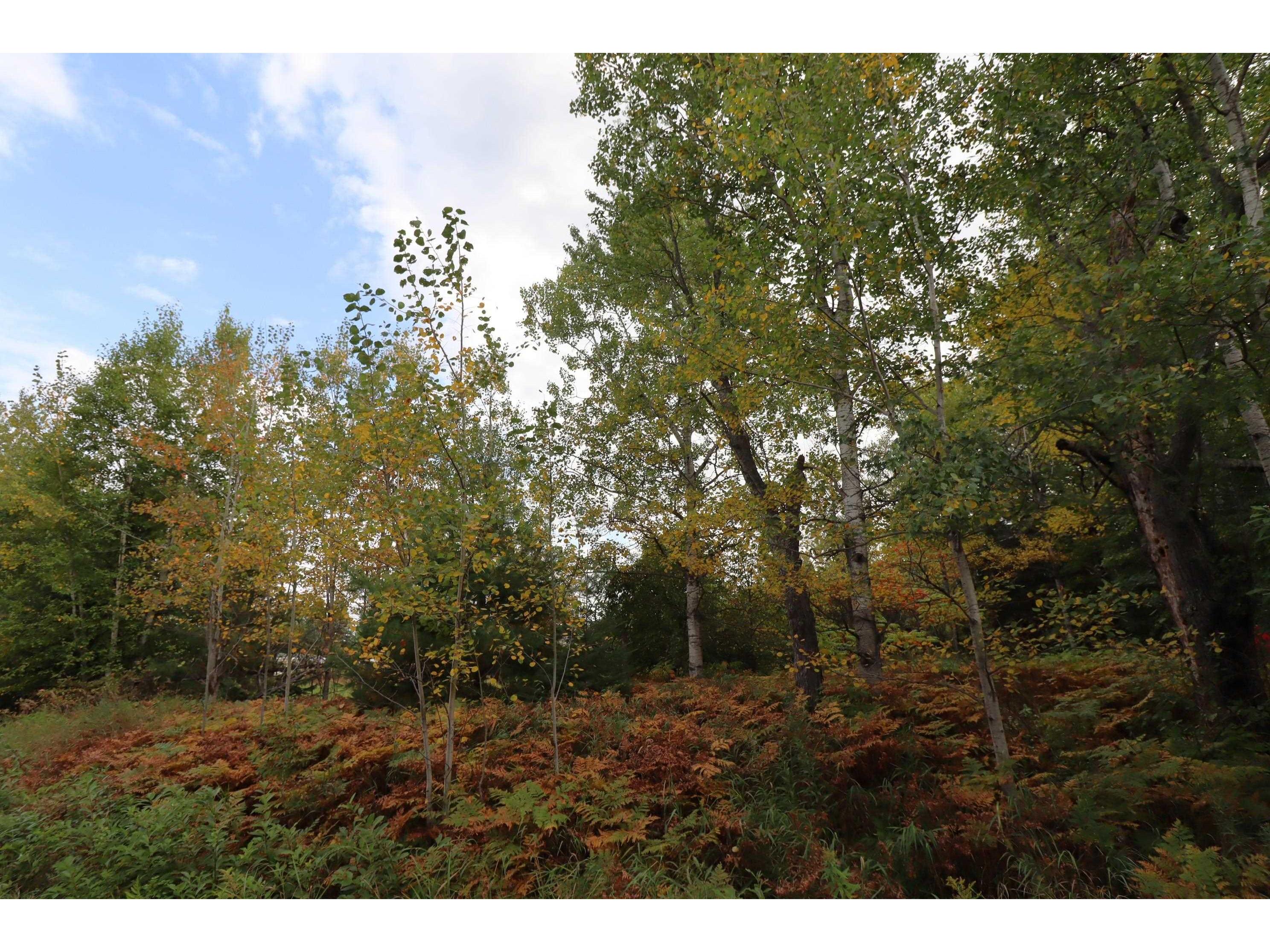 828XX White Birch Rd Port Wing WI 54865 6122240 image13