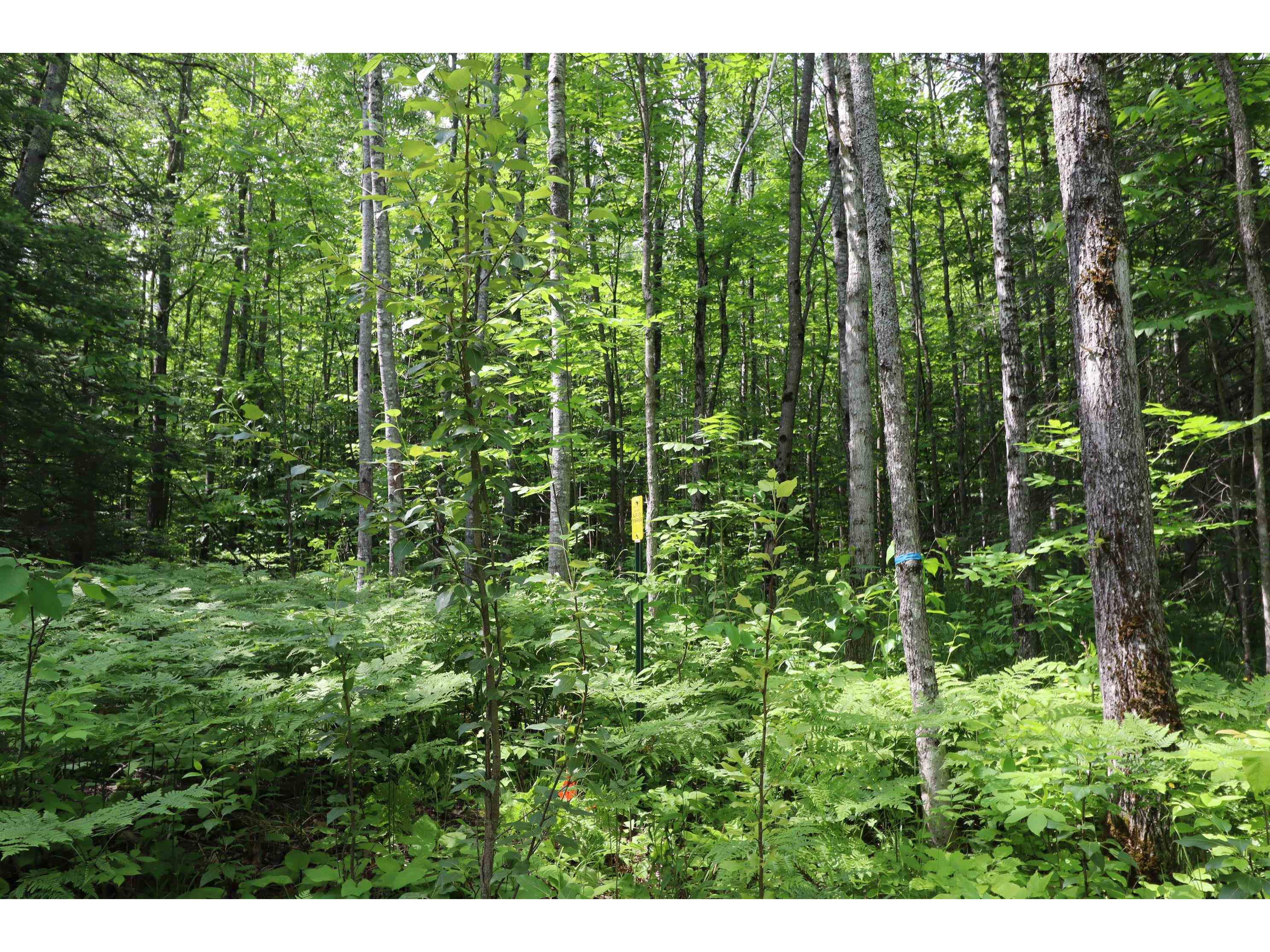 82XXX Lenawee Rd Herbster WI 54844 6120189 image1