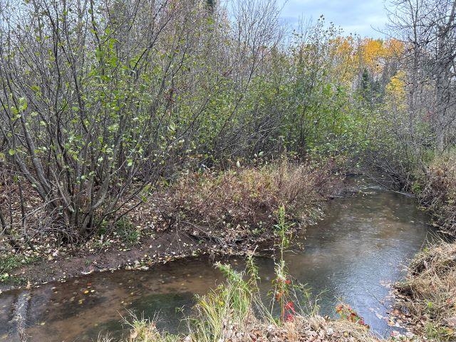 8353 Mannik Rd Iron River WI 54847 - Hill Lake 6122597 image17