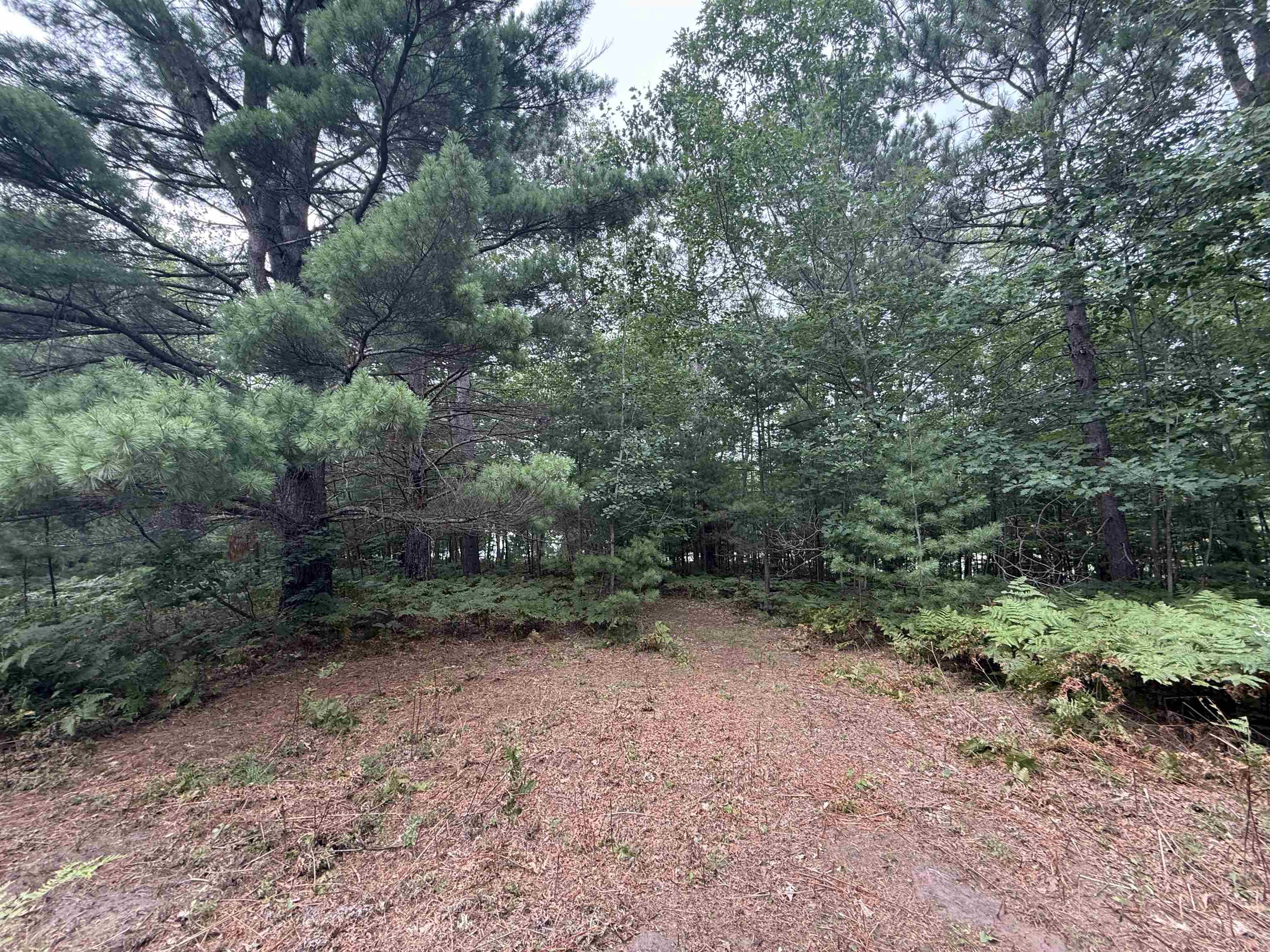 8355 Half Moon Lake Dr Iron River WI 54847 - Half Moon Lake 6121357 image12