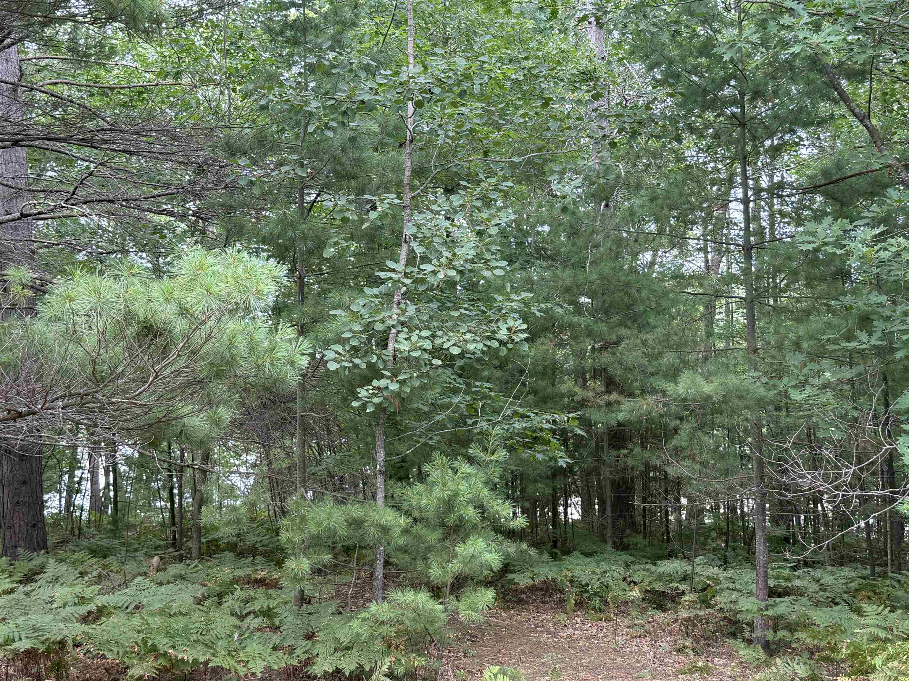 8355 Half Moon Lake Dr Iron River WI 54847 - Half Moon Lake 6121357 image13