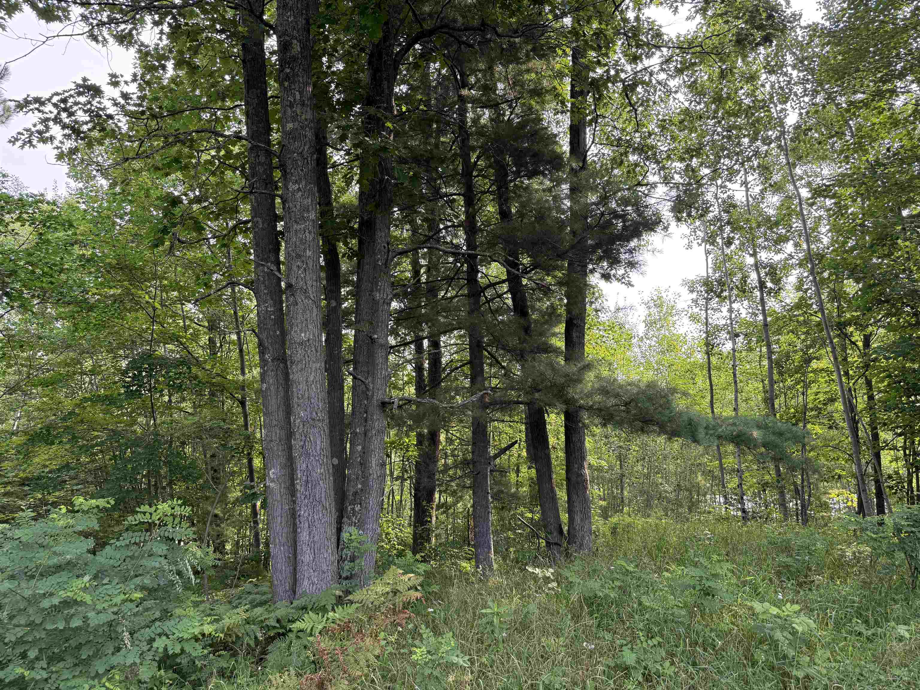 8355 Half Moon Lake Dr Iron River WI 54847 - Half Moon Lake 6121357 image8