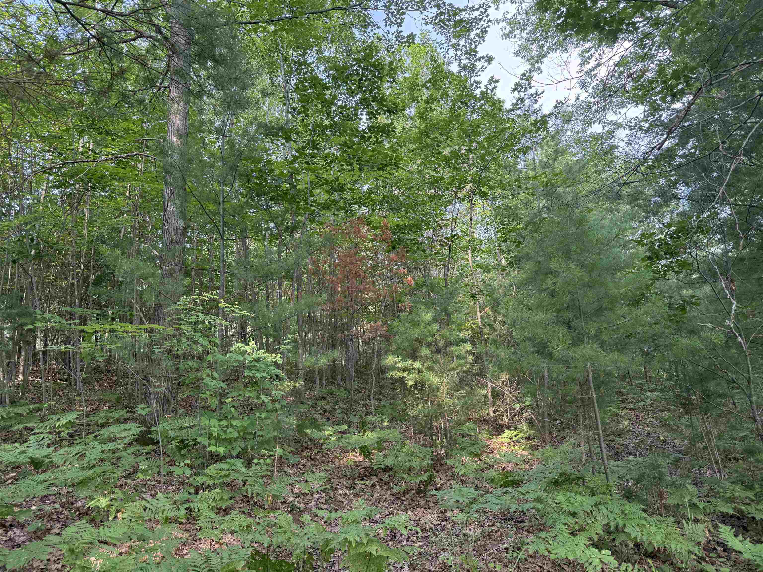 8355 Half Moon Lake Dr Iron River WI 54847 - Half Moon Lake 6121357 image9