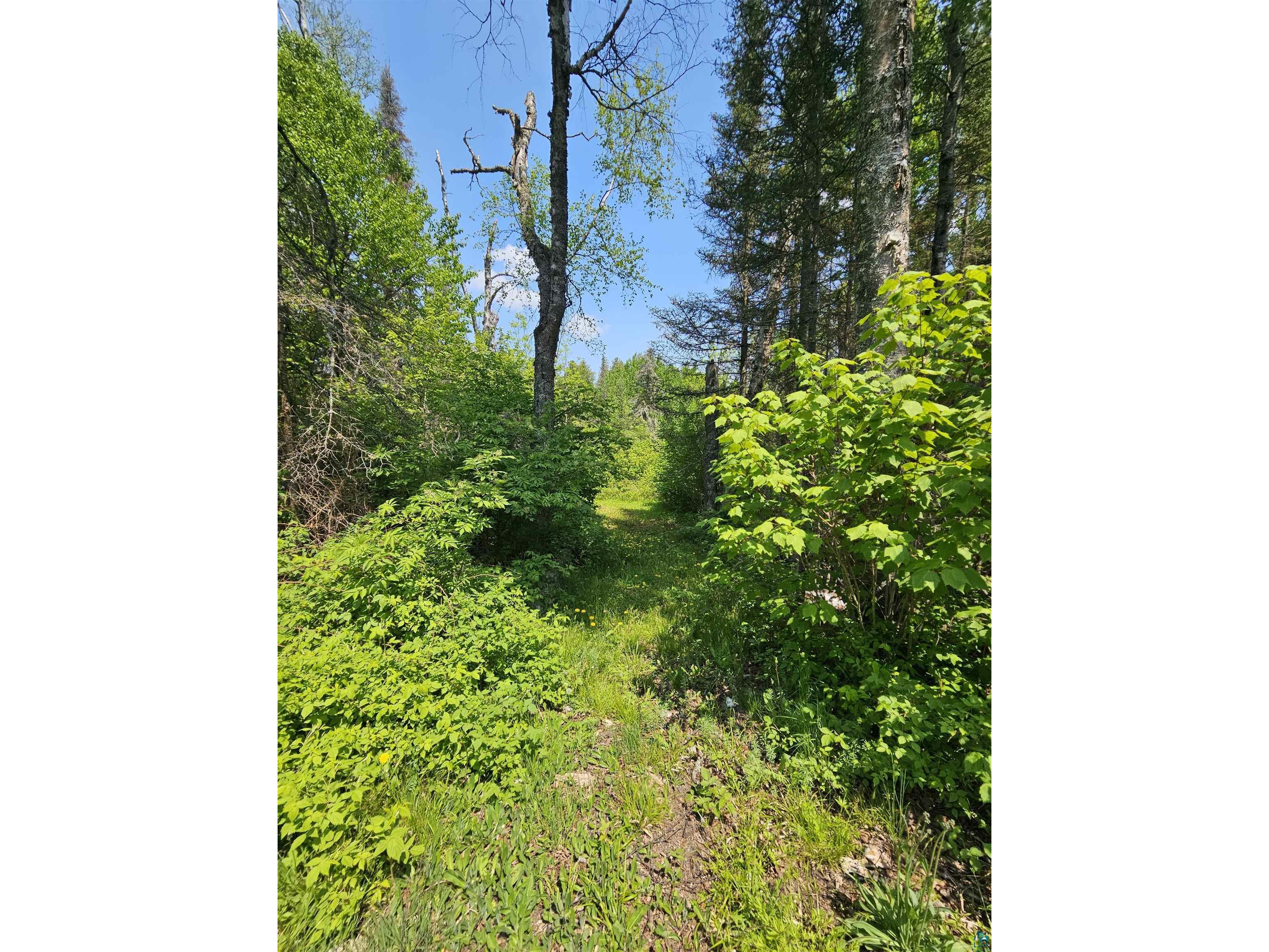 839 Loon Rd Two Harbors MN 55616 6124553 image20
